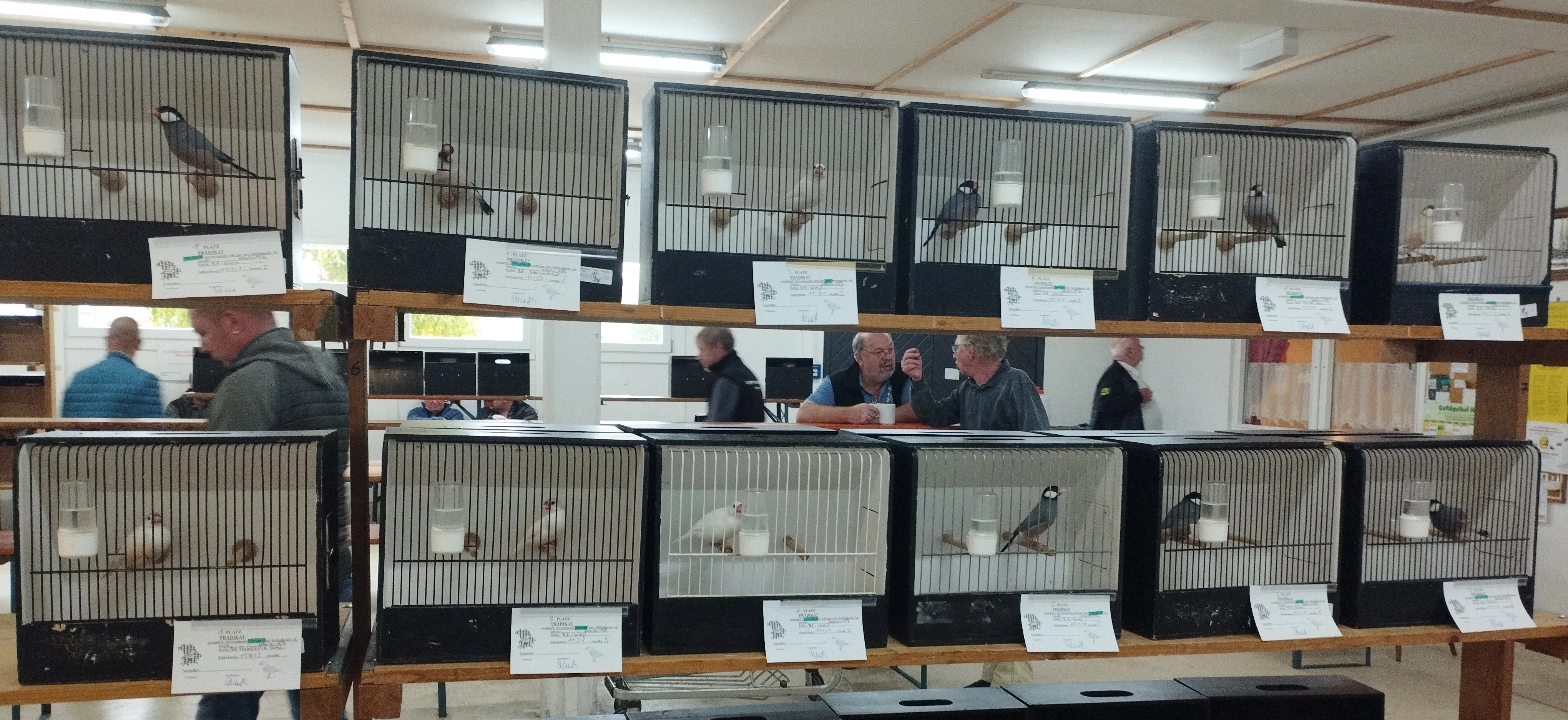 Výstavní rýžovník