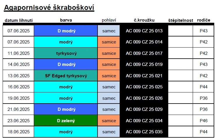 Agapornisové škraboškoví - odchovy s DNA testy