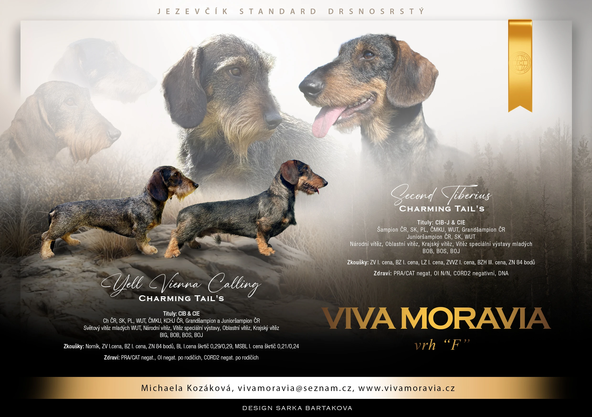 Jezevčík drsnosrstý standard