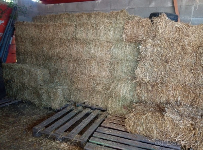 Seno malé hranaté balíky sláma malé hranaté balíky