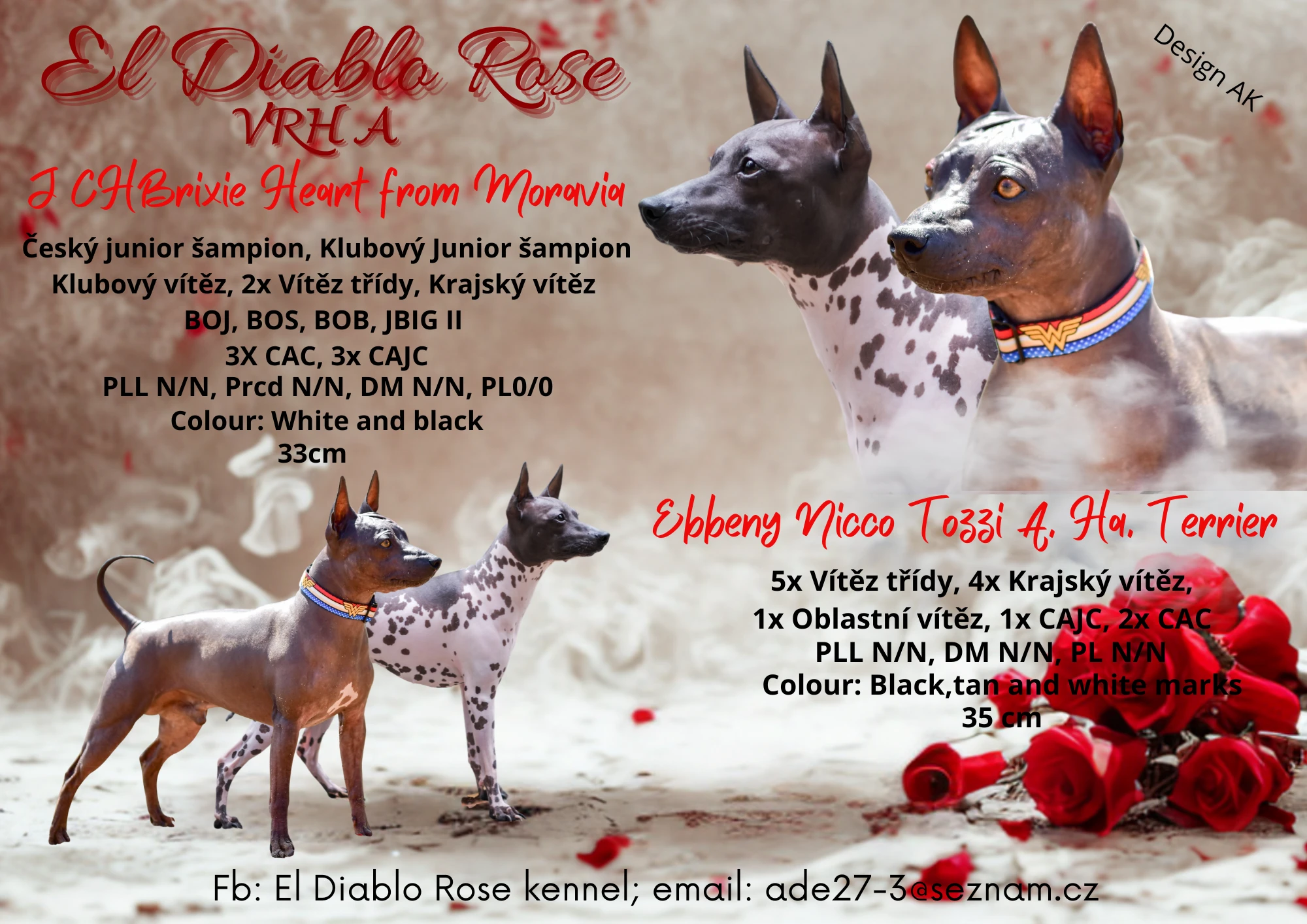 Americký bezsrstý teriér s PP (FCI)