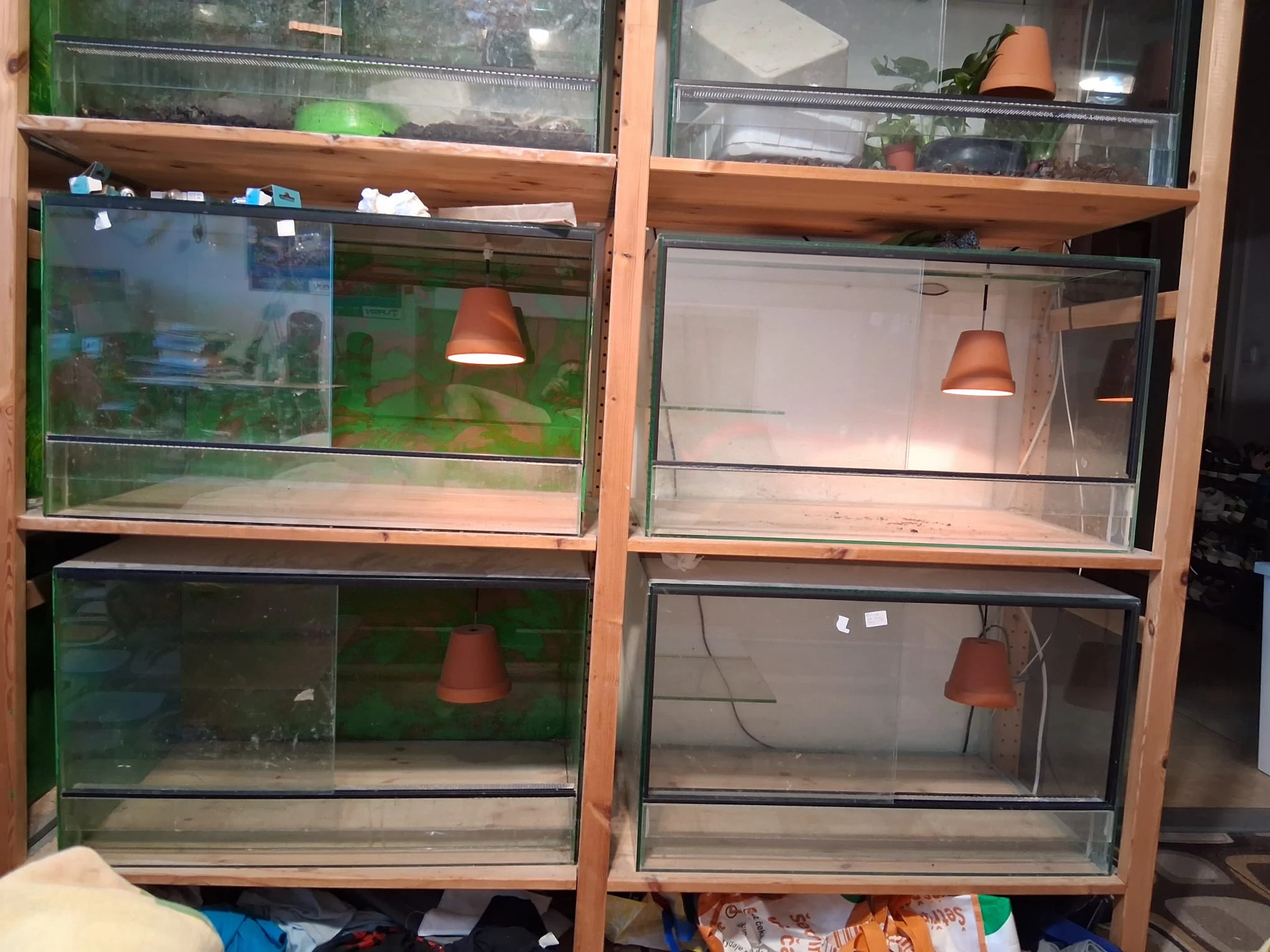 Prodám 4 skleněná terária 75x50 (podesta 45 - 5cm)x 45