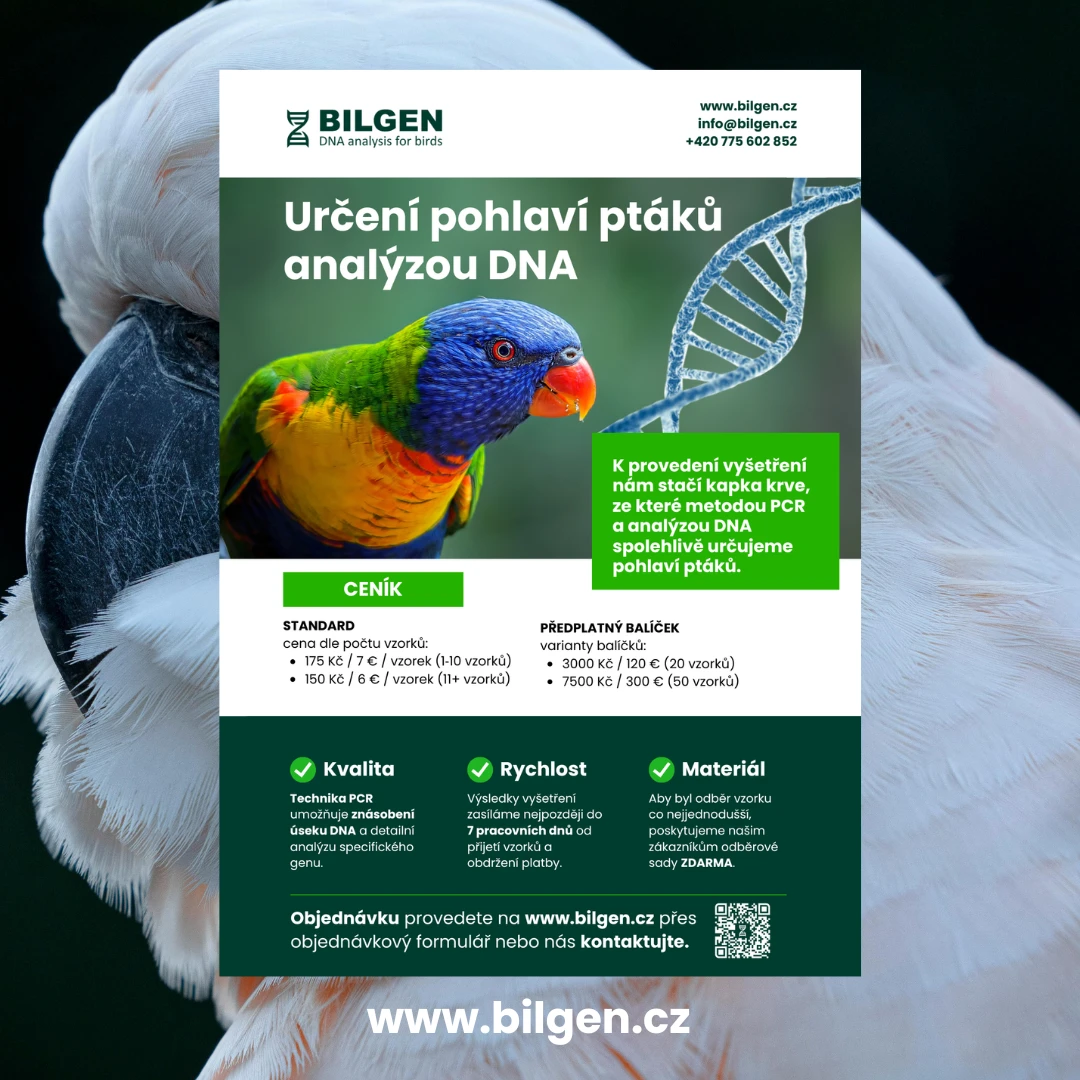 Laboratoř BILGEN - DNA testy pohlaví - sběr vzorků na burze v Týništi 22.2.