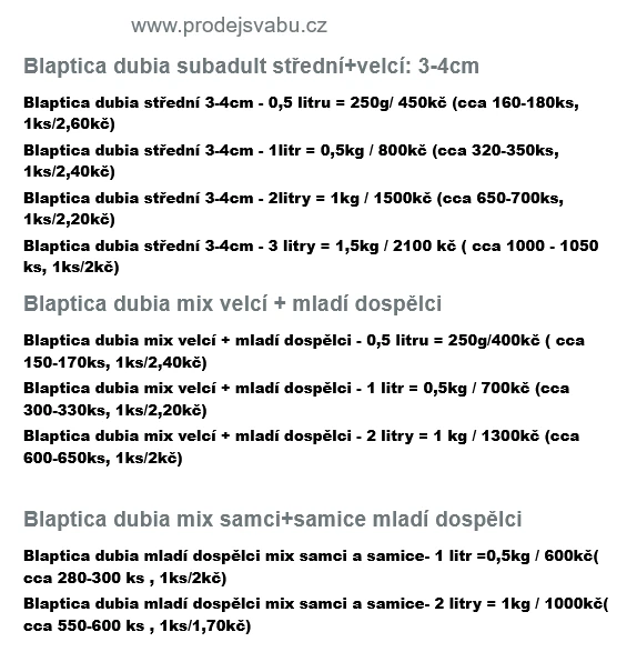 Švábi Blaptica dubia 3-4 cm,cena od 1.70kč