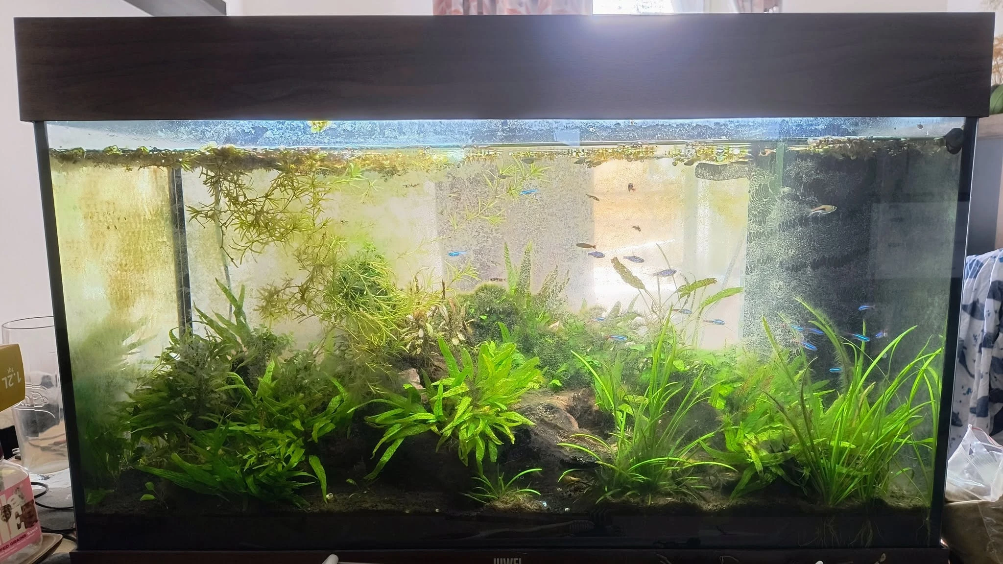 Akvárium Juwel Rio 125l