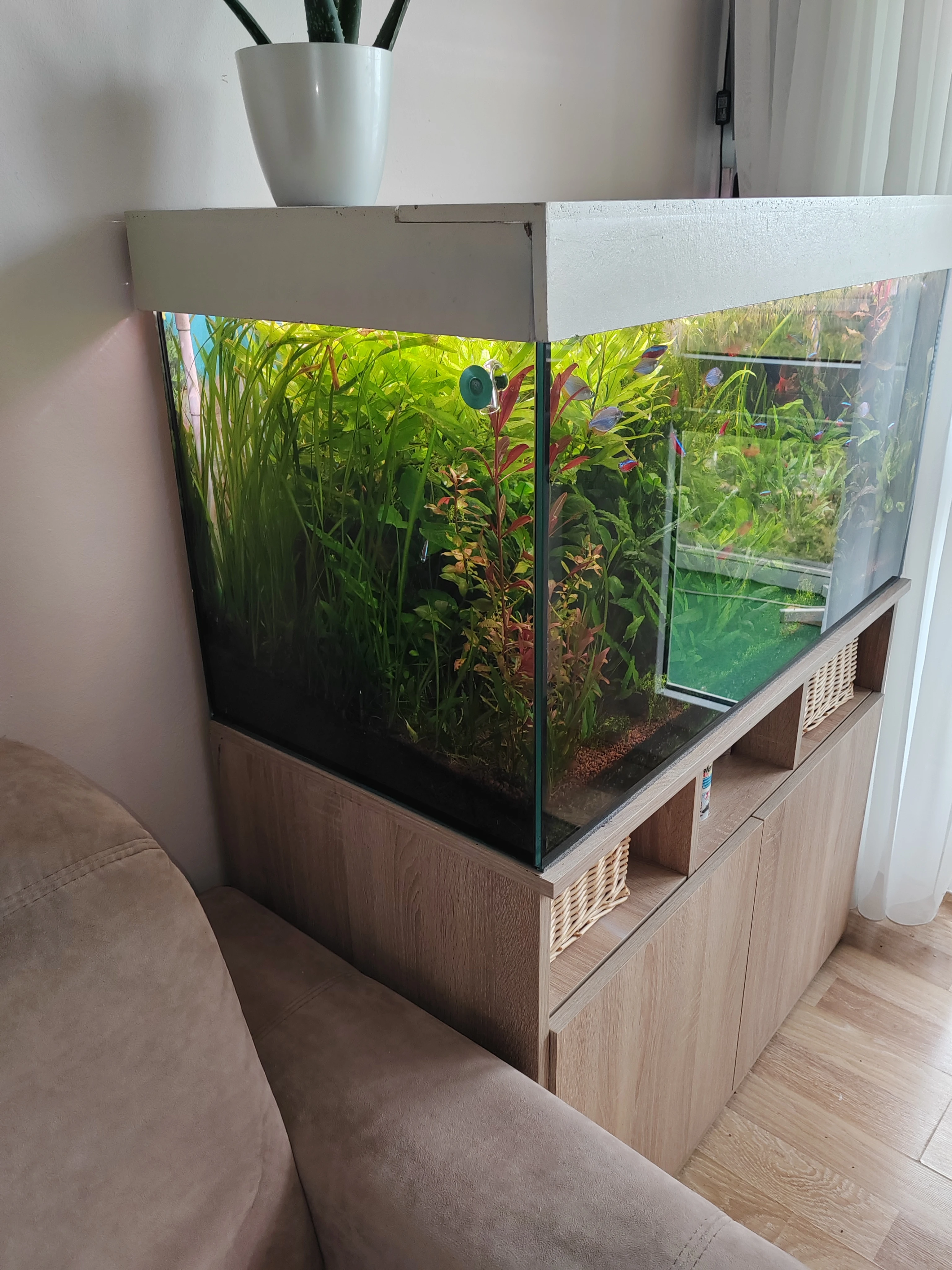Velké 250 l akvárium včetně skříňky pod ním