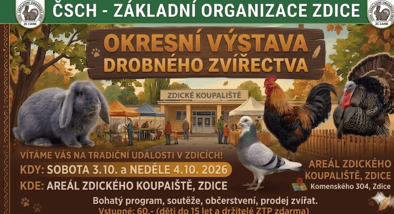 Výstava