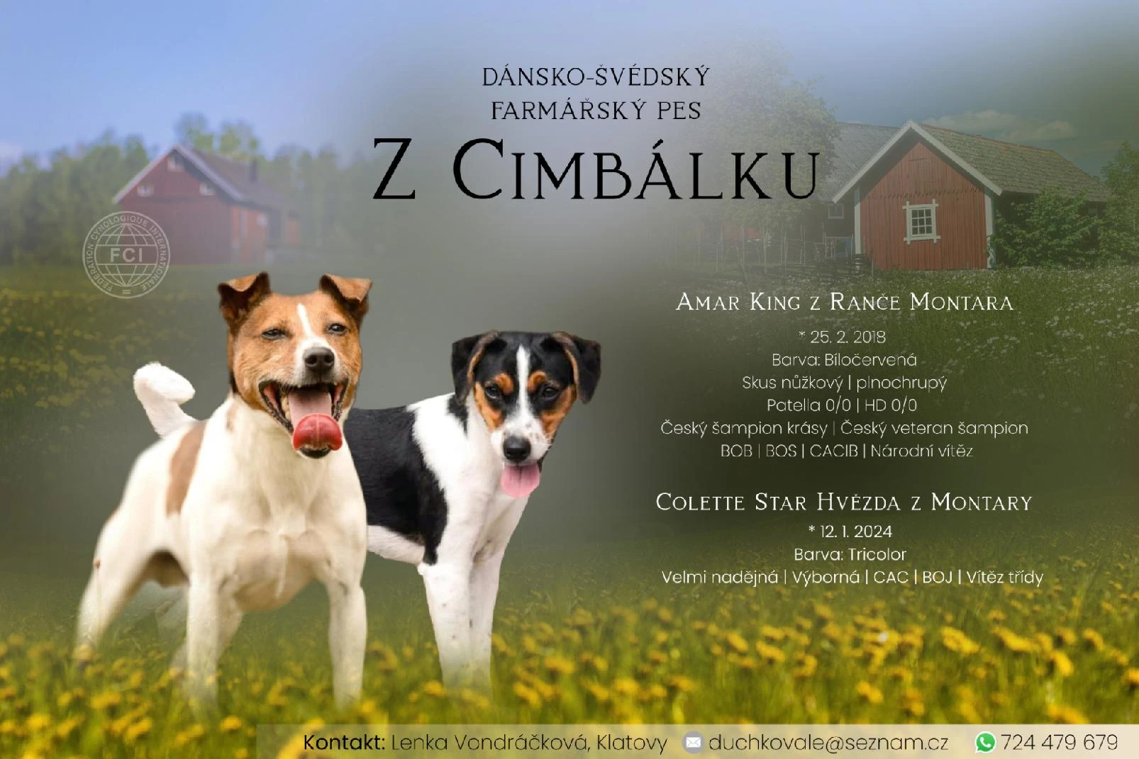 Štěňátka dánsko-švédského farmářského psa