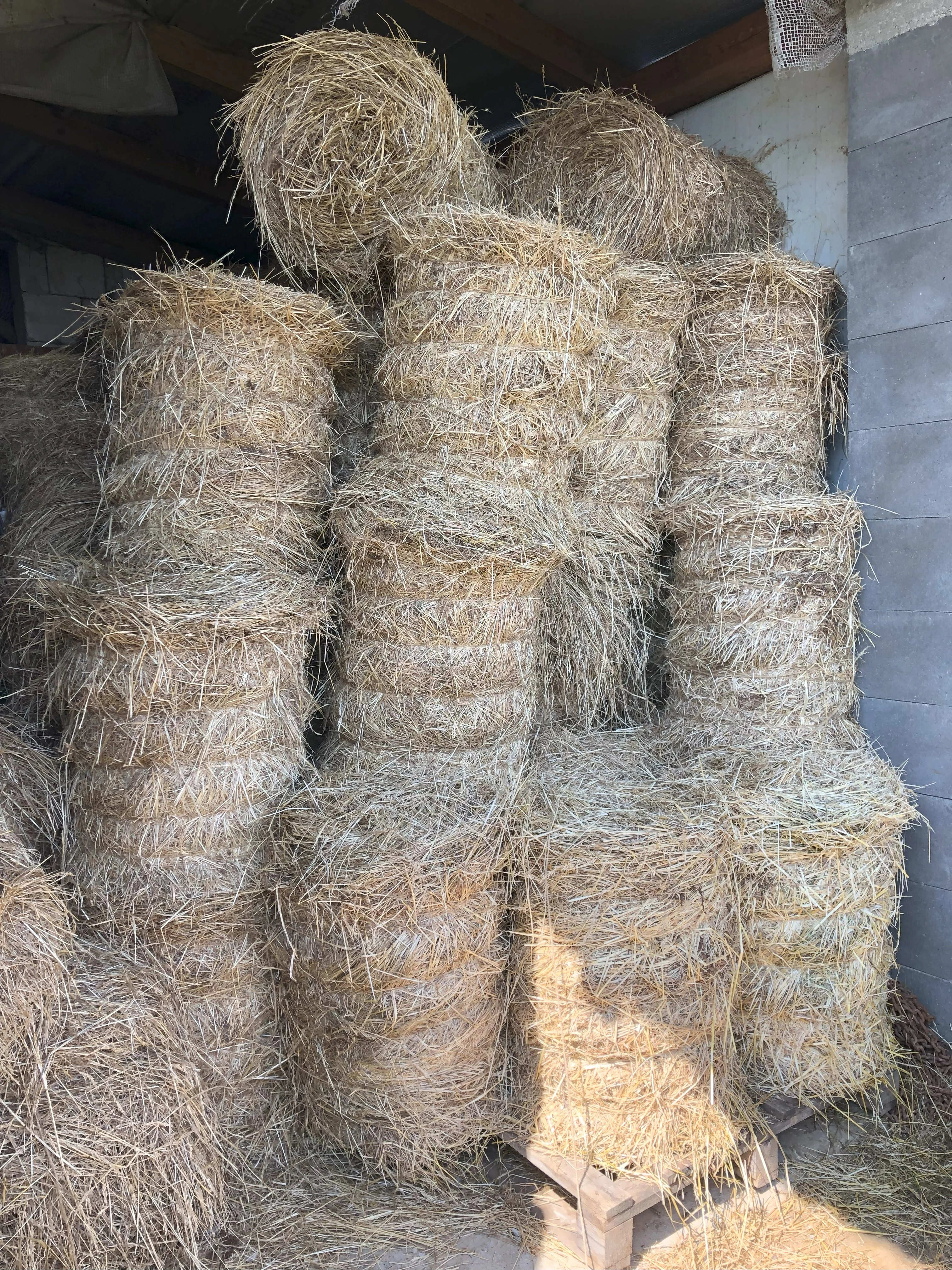 Seno malé kulaté balíky