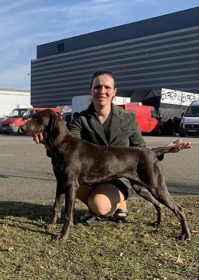 Německý krátkosrstý ohař