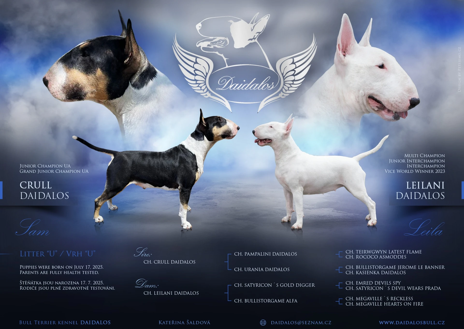 Bulteriér - štěňata s PP -