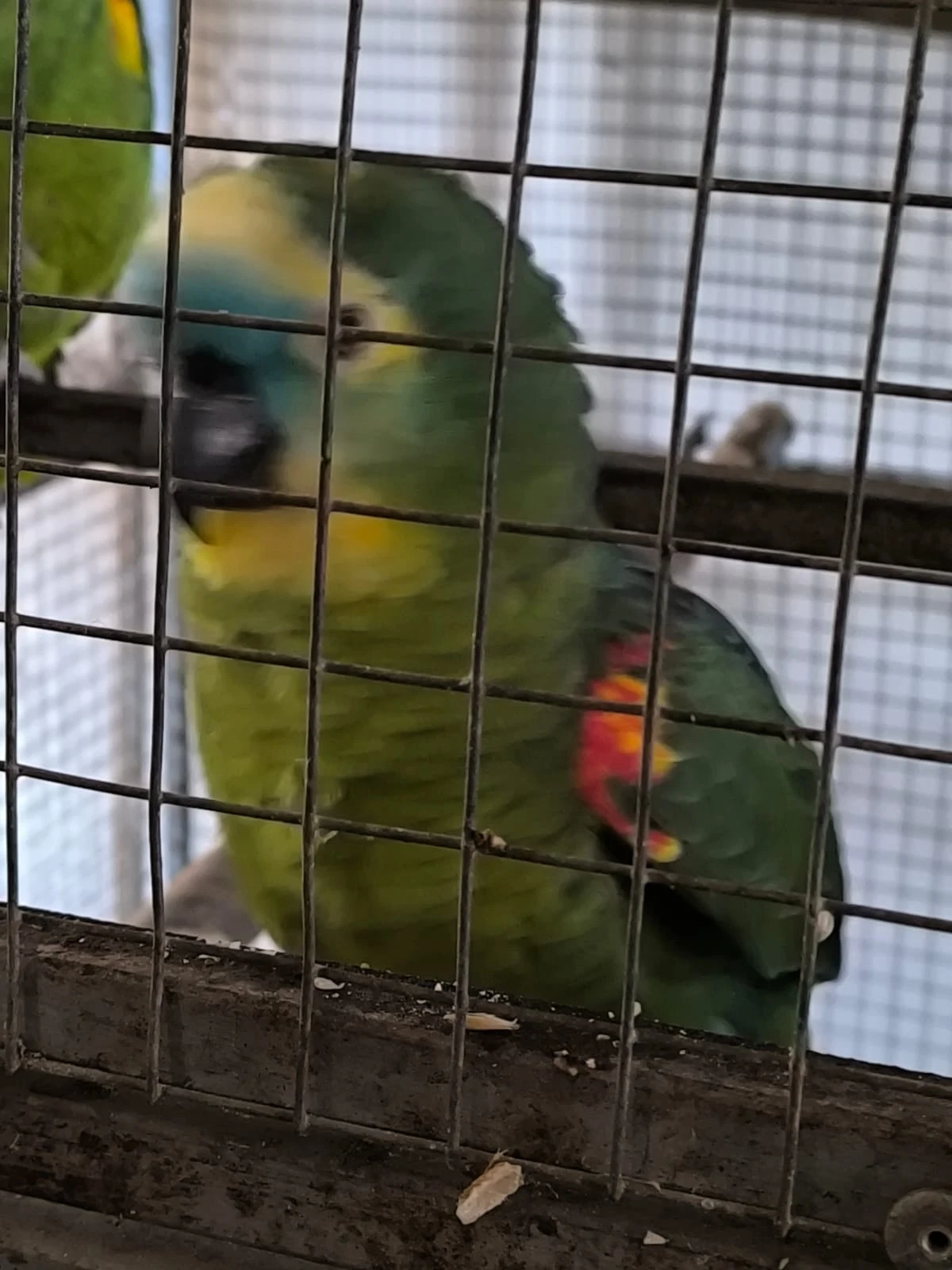 Rušení chovu -zdravotni důvody