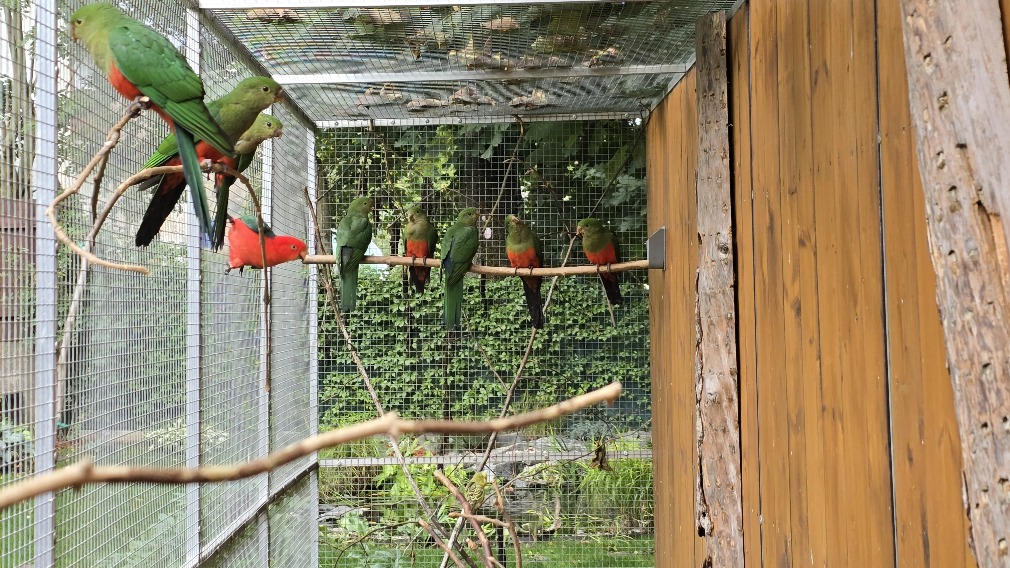 Letošní Královské