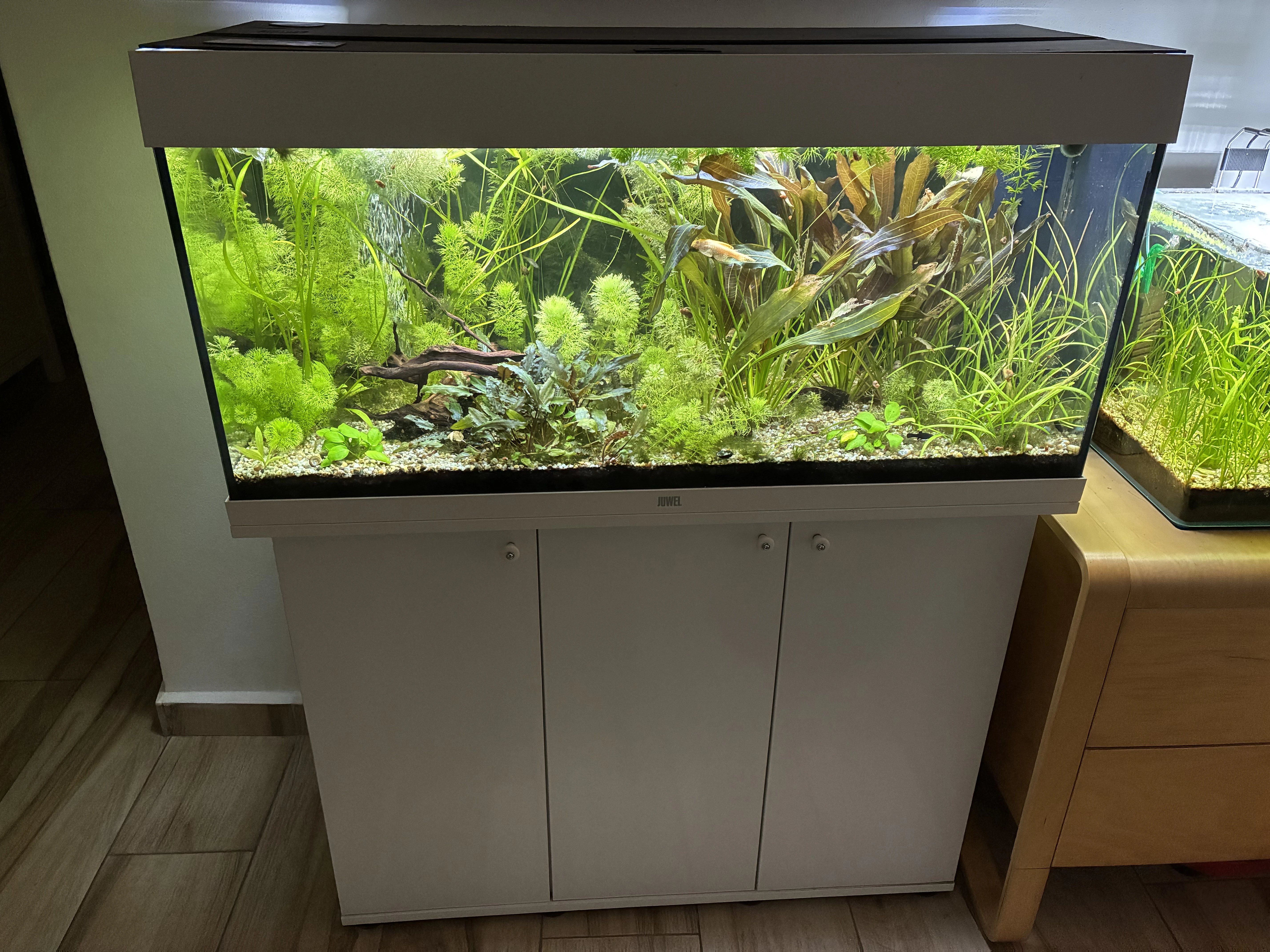 Akvárium juwel 180 l