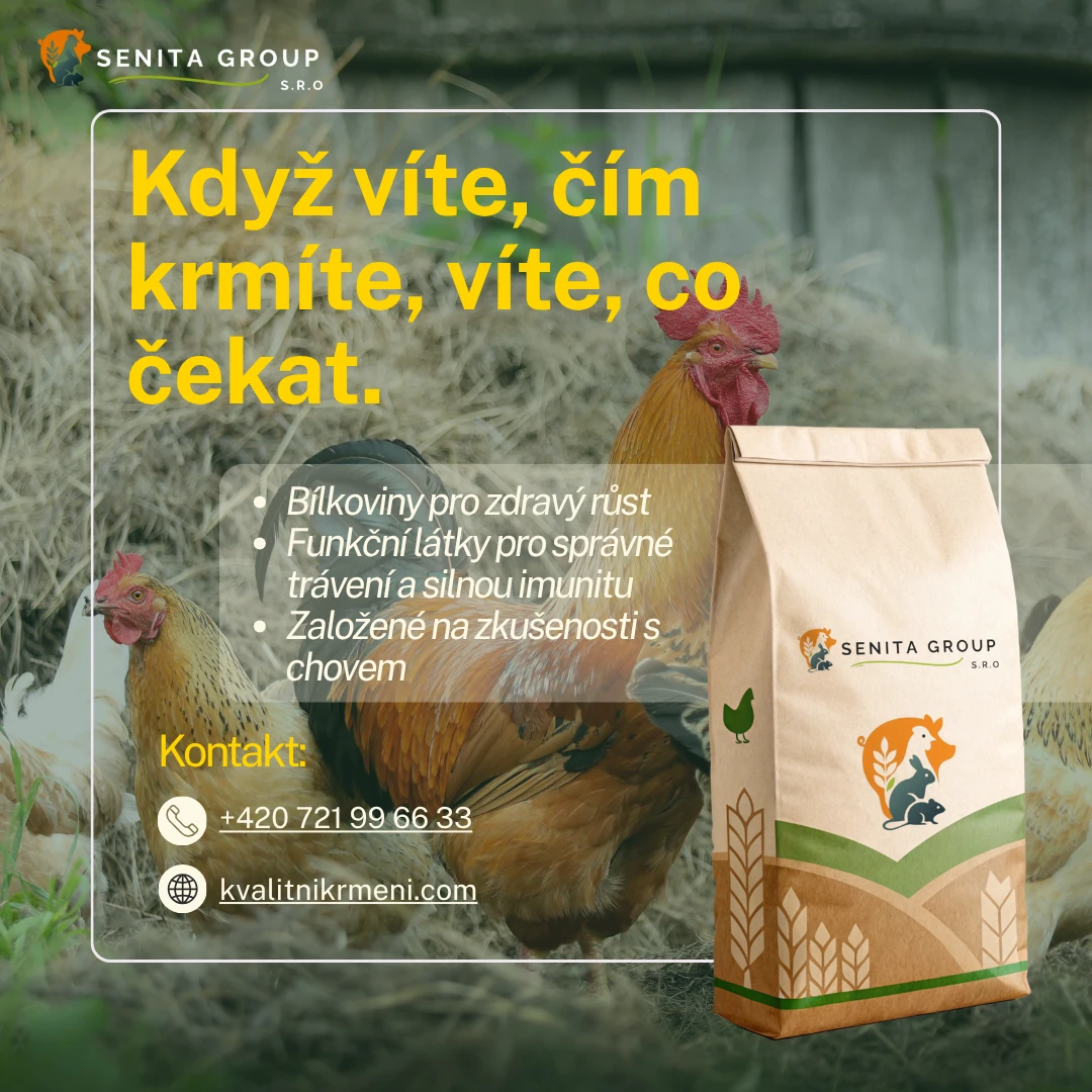 Poctivé krmivo pro zdravou drůbež www.kvalitnikrmeni.com