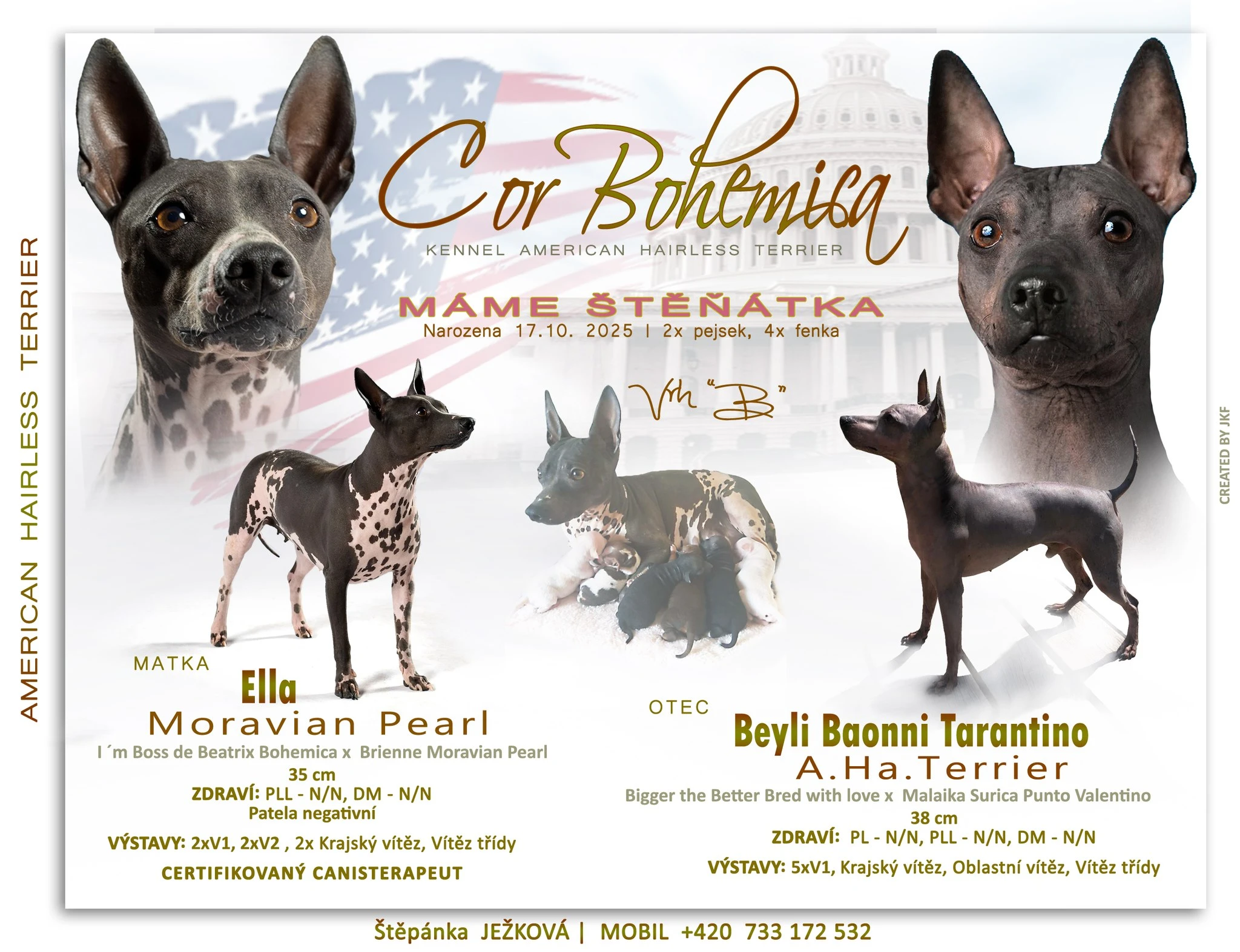 Nahatí kluci s PP pod FCI