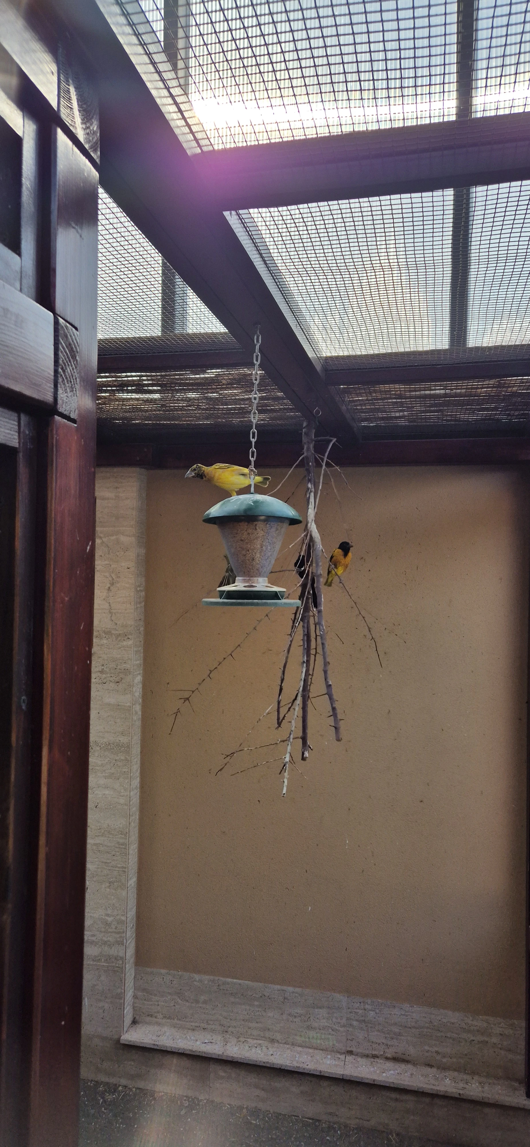 1,0 Snovač zahradní