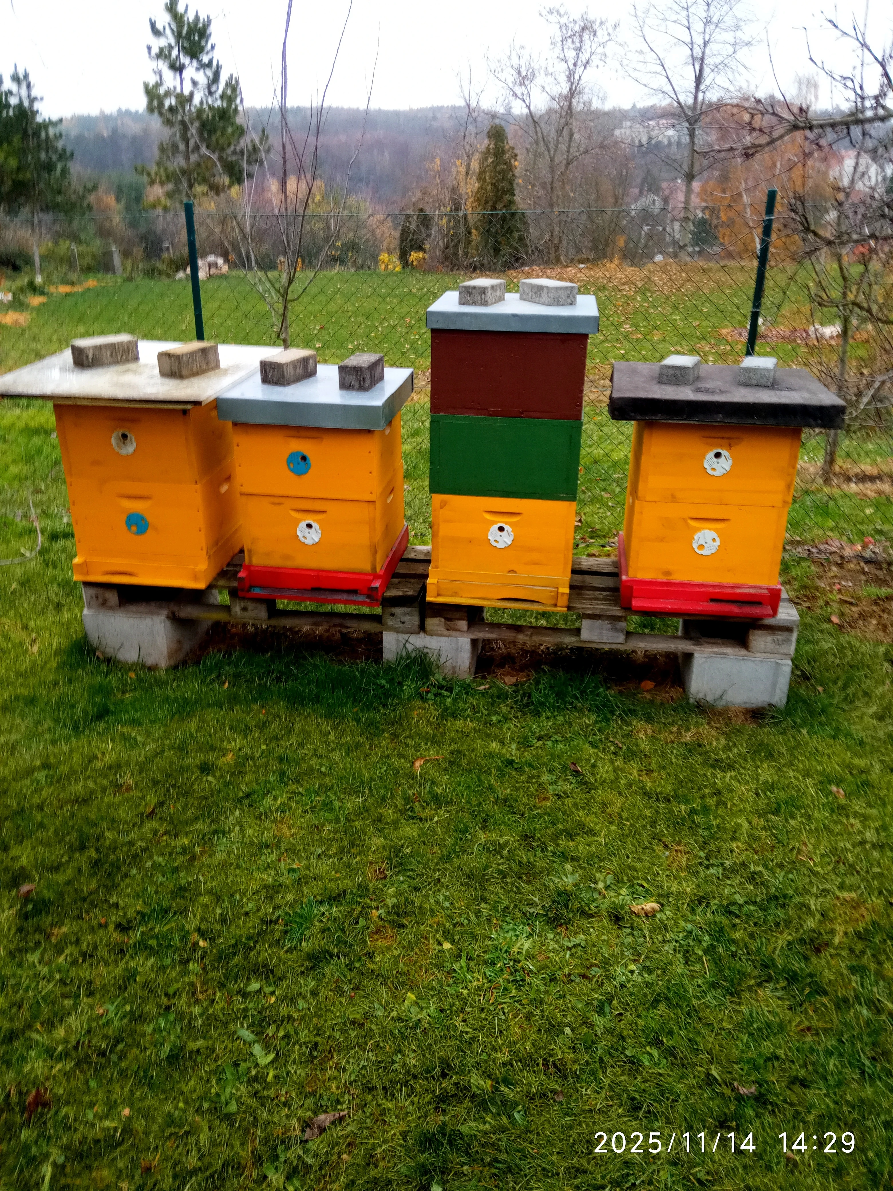 Pro stáří prodám 7 včelstev