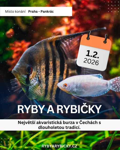 Ryby a rybičky - výstavní a prodejní akvaristická burza v Praze - 1.2.2026