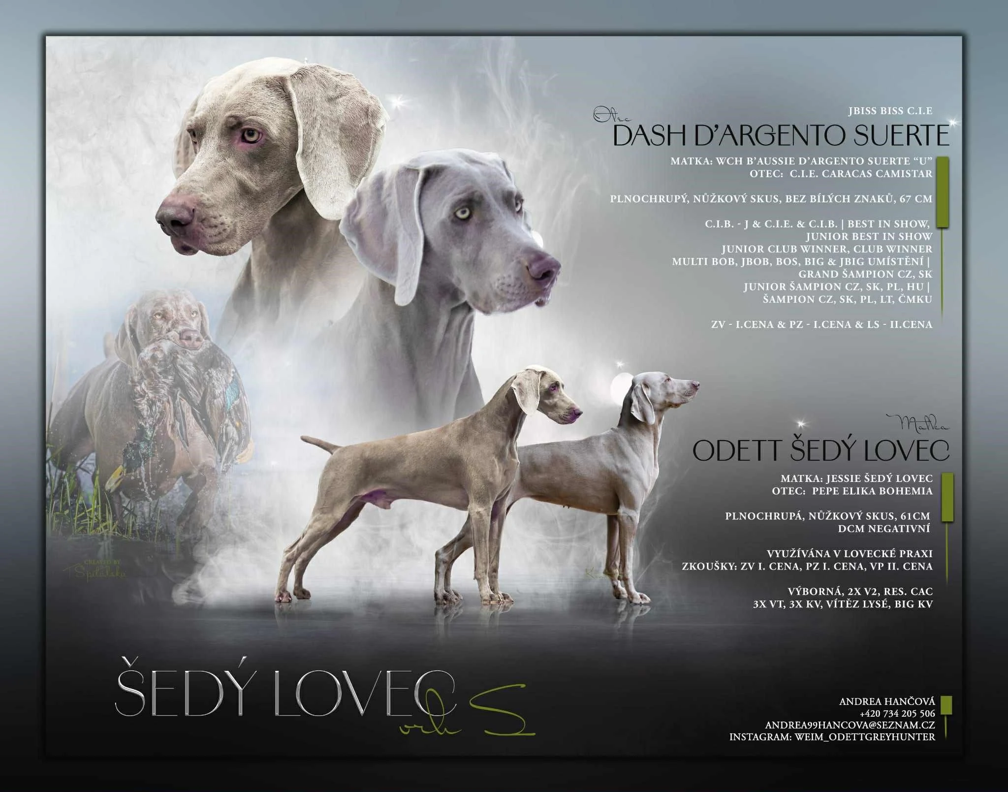 Vrh s CHS Šedý lovec