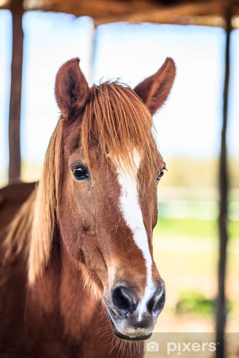 Slečna z venkova hledá muže do života 