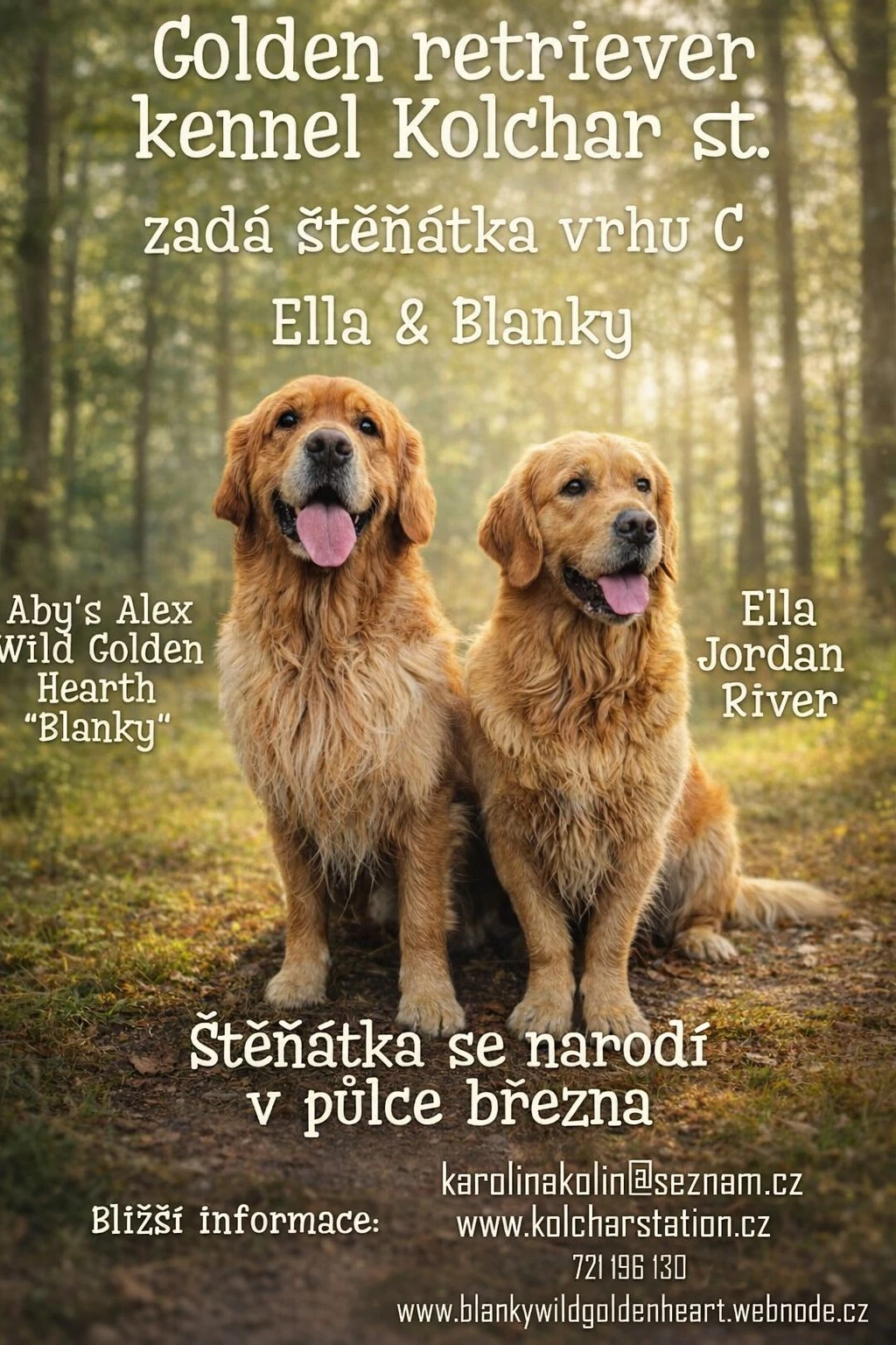 Štěňátka jsou na cestě