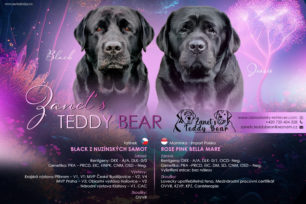 Rezervace Labradorský Retriever s PP