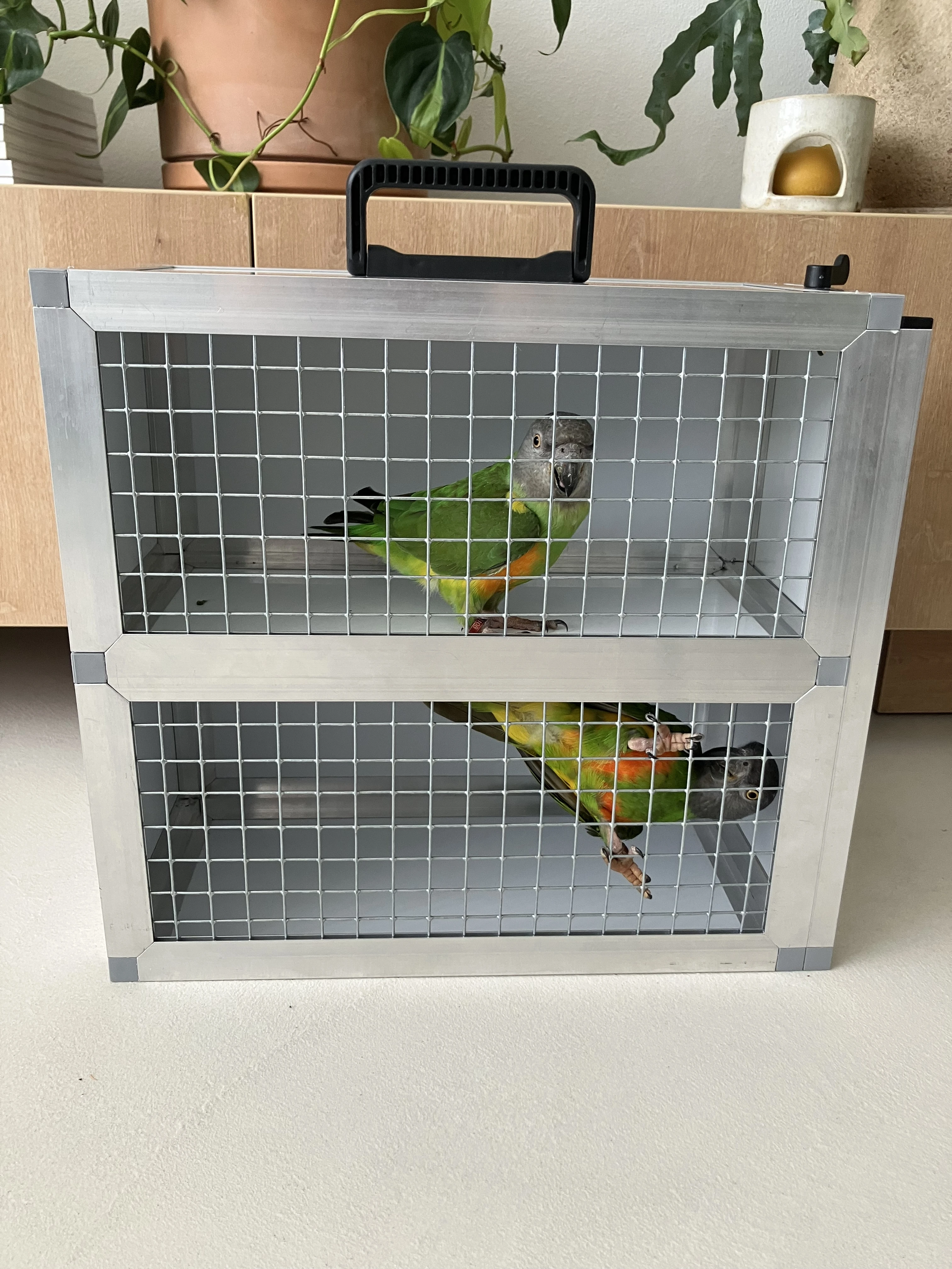 Přepravka, přenoska 40x40x20 - dvojbox