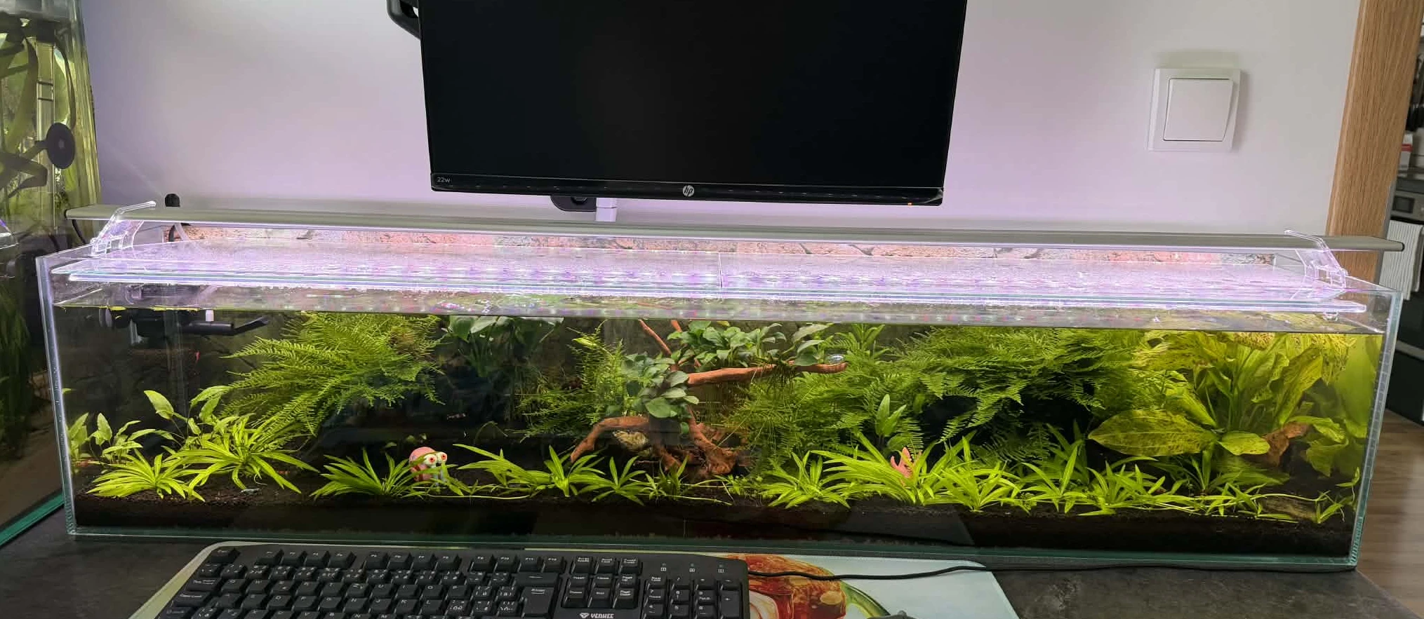 Zajeté krevetárium