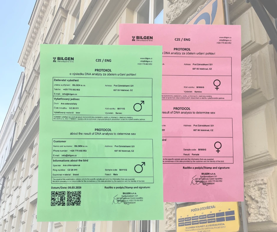 Laboratoř bilgen - dna testy pohlaví - burza přerov 10. 05. 2026