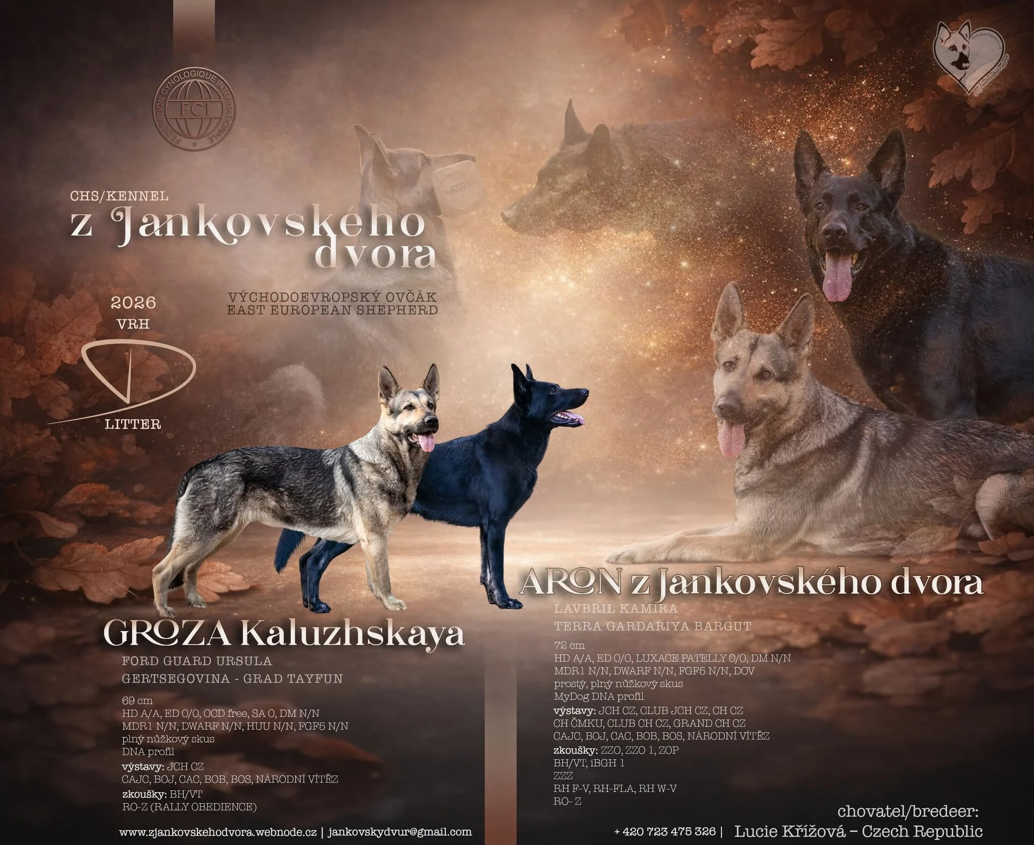 Východoevropský ovčák