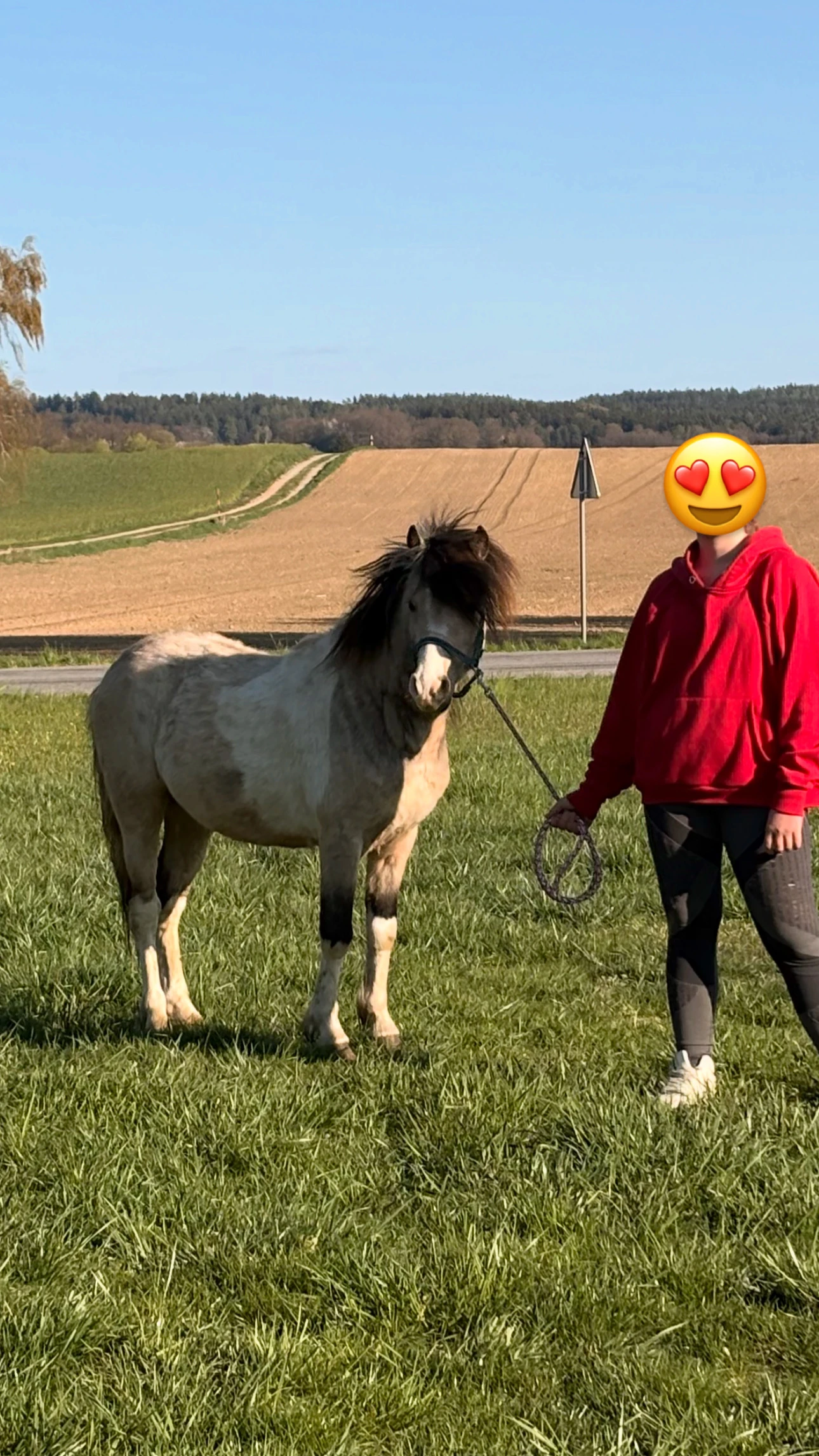 Výjimečně zbarvený pony valach