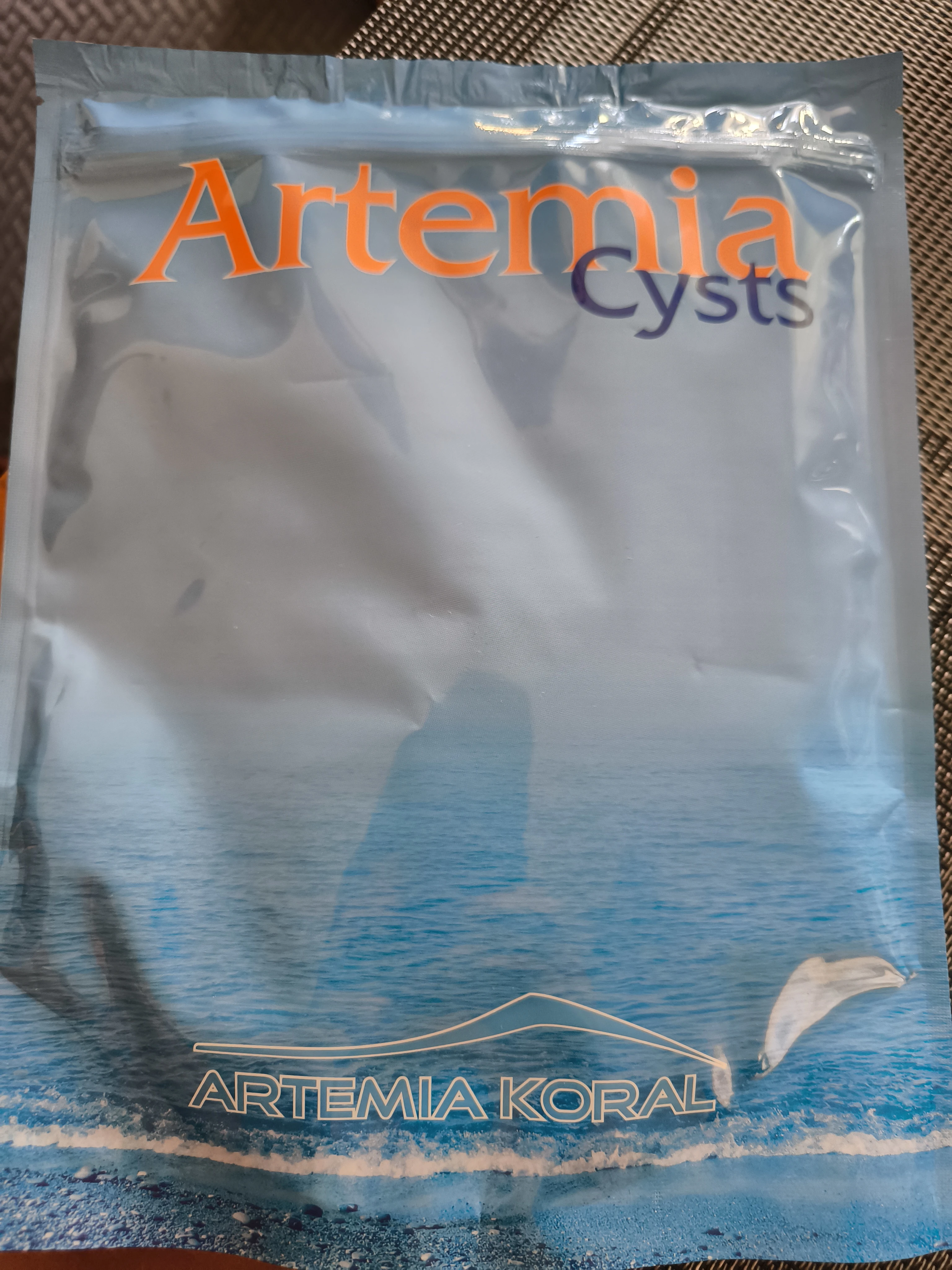 Artemia Cyst