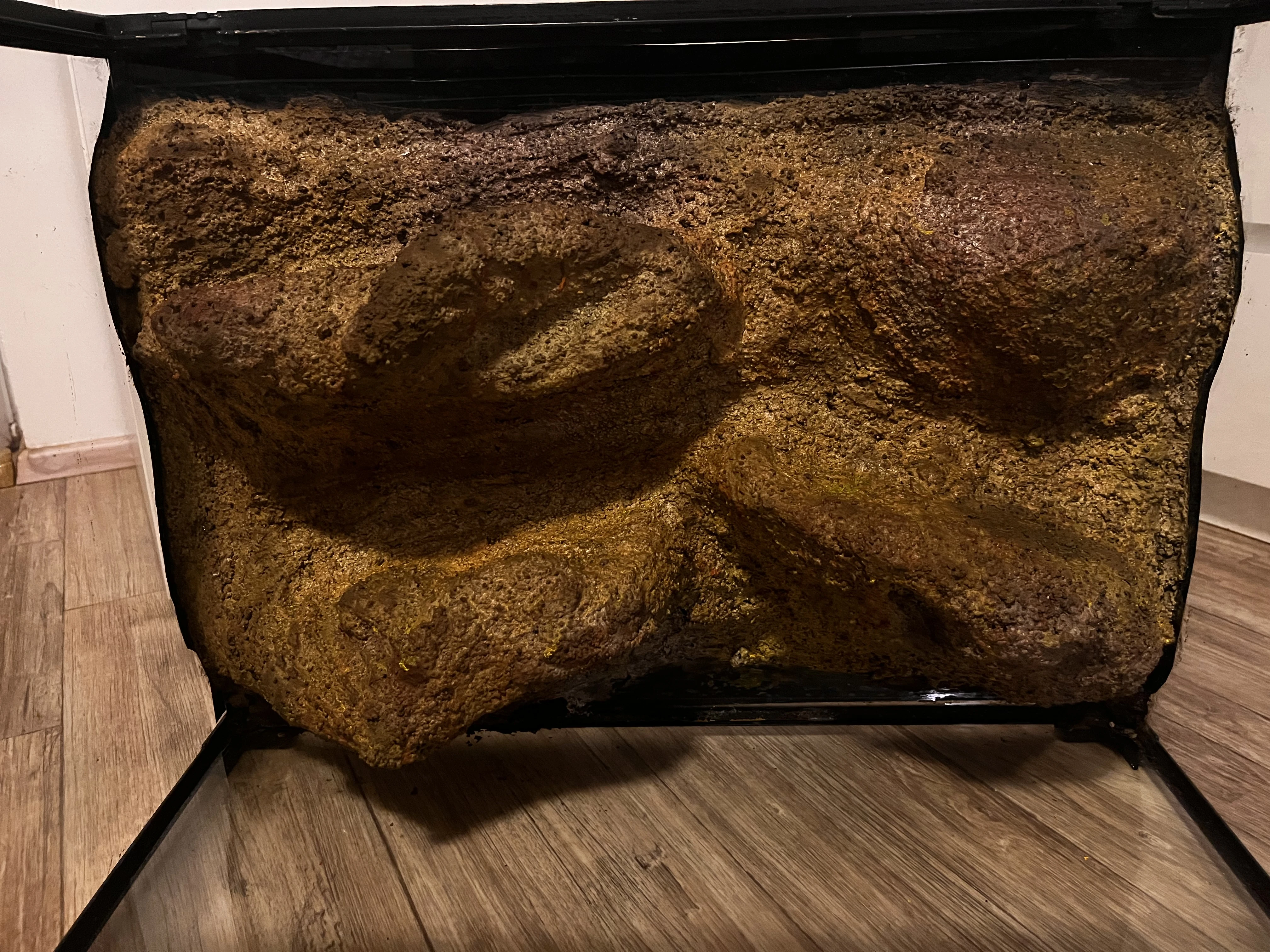 Terarium 60x45x45