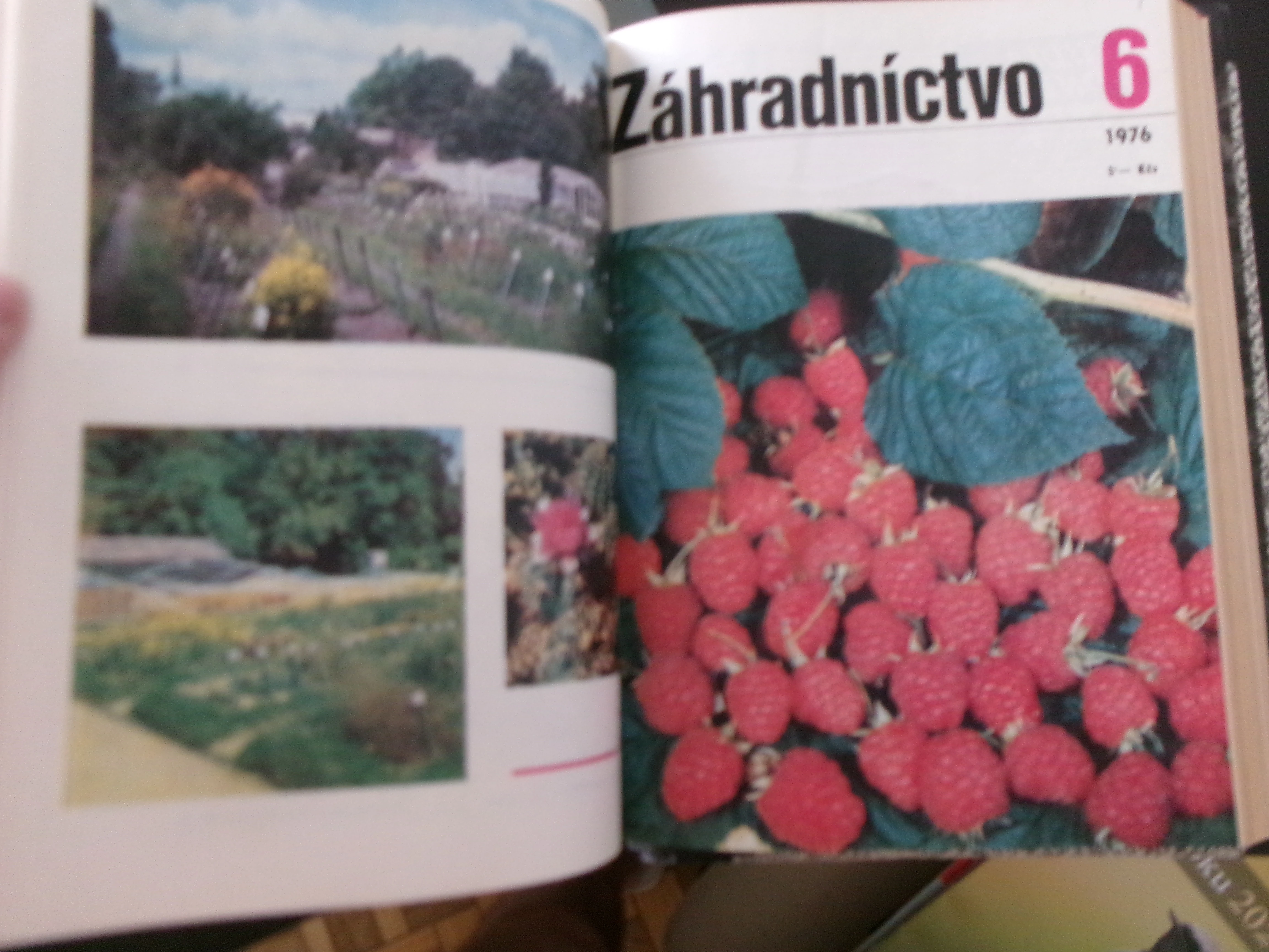 Časopisy Záhradníctvo.