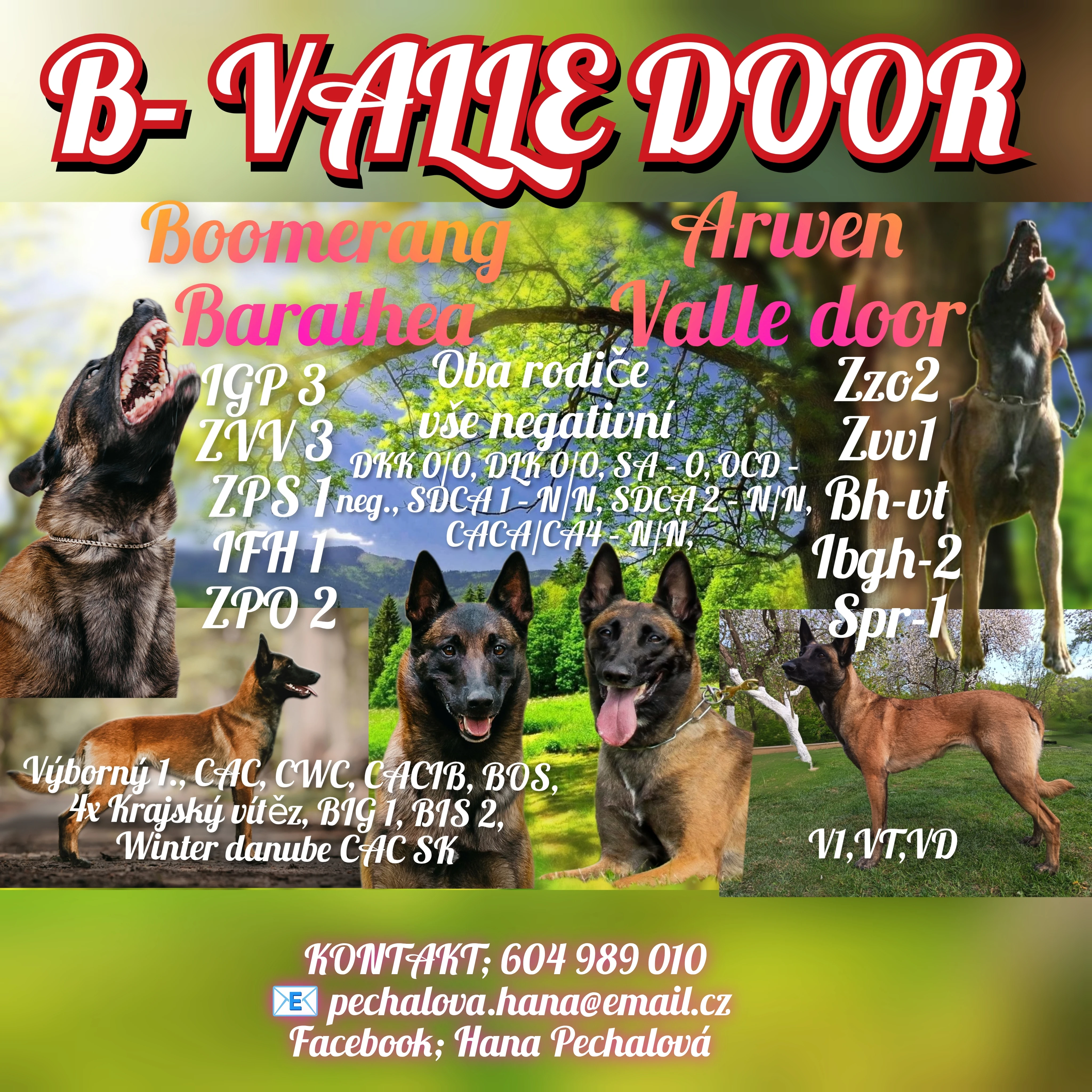 Belgický ovčák Malinois s PP