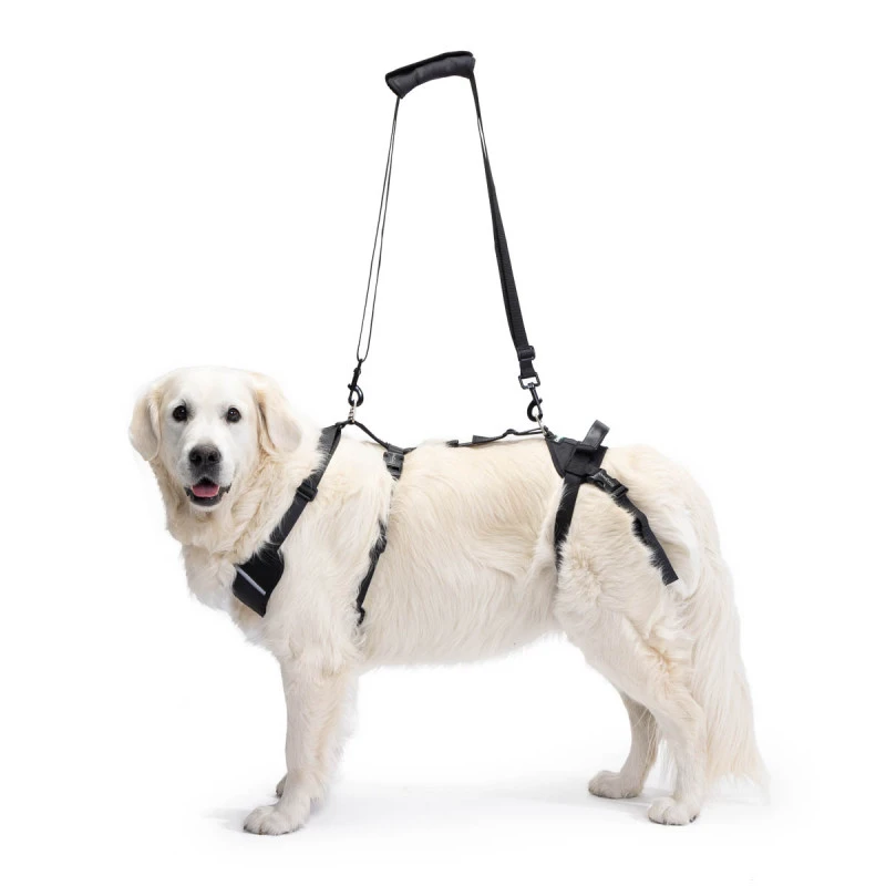 Podpůrný postroj Ortocanis Full Support Harness – XXL, pro psa do 50 kg