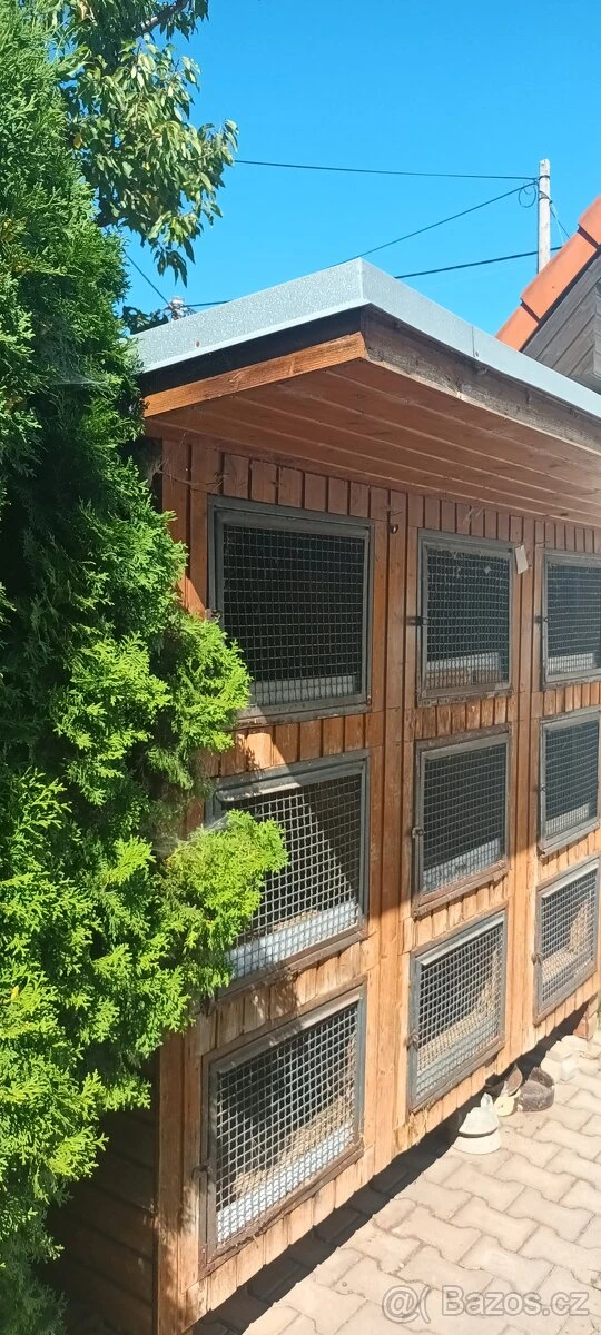Prodej kralikarny