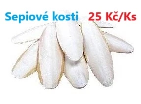Přírodní sepiové kosti