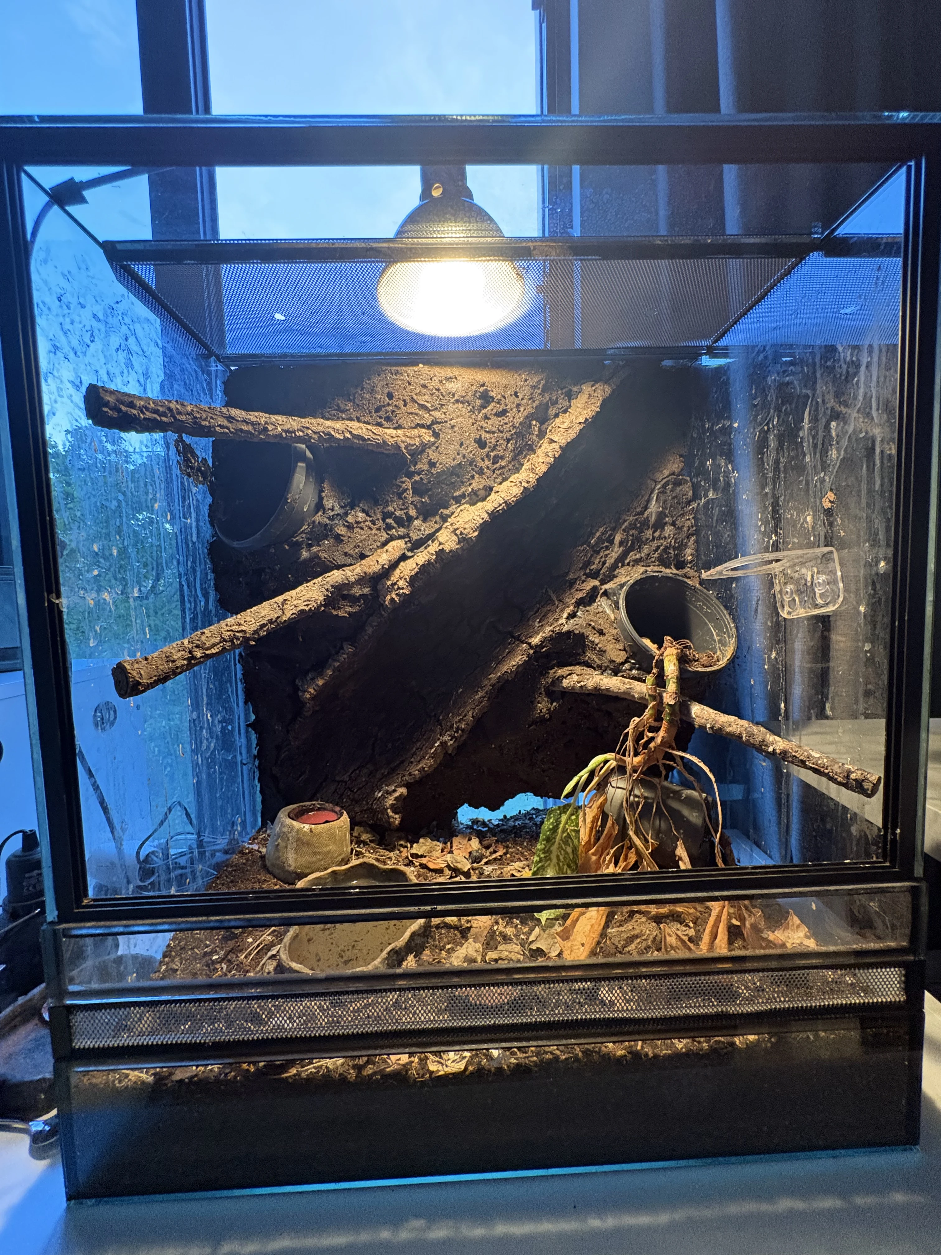 Terarium 70x60x40