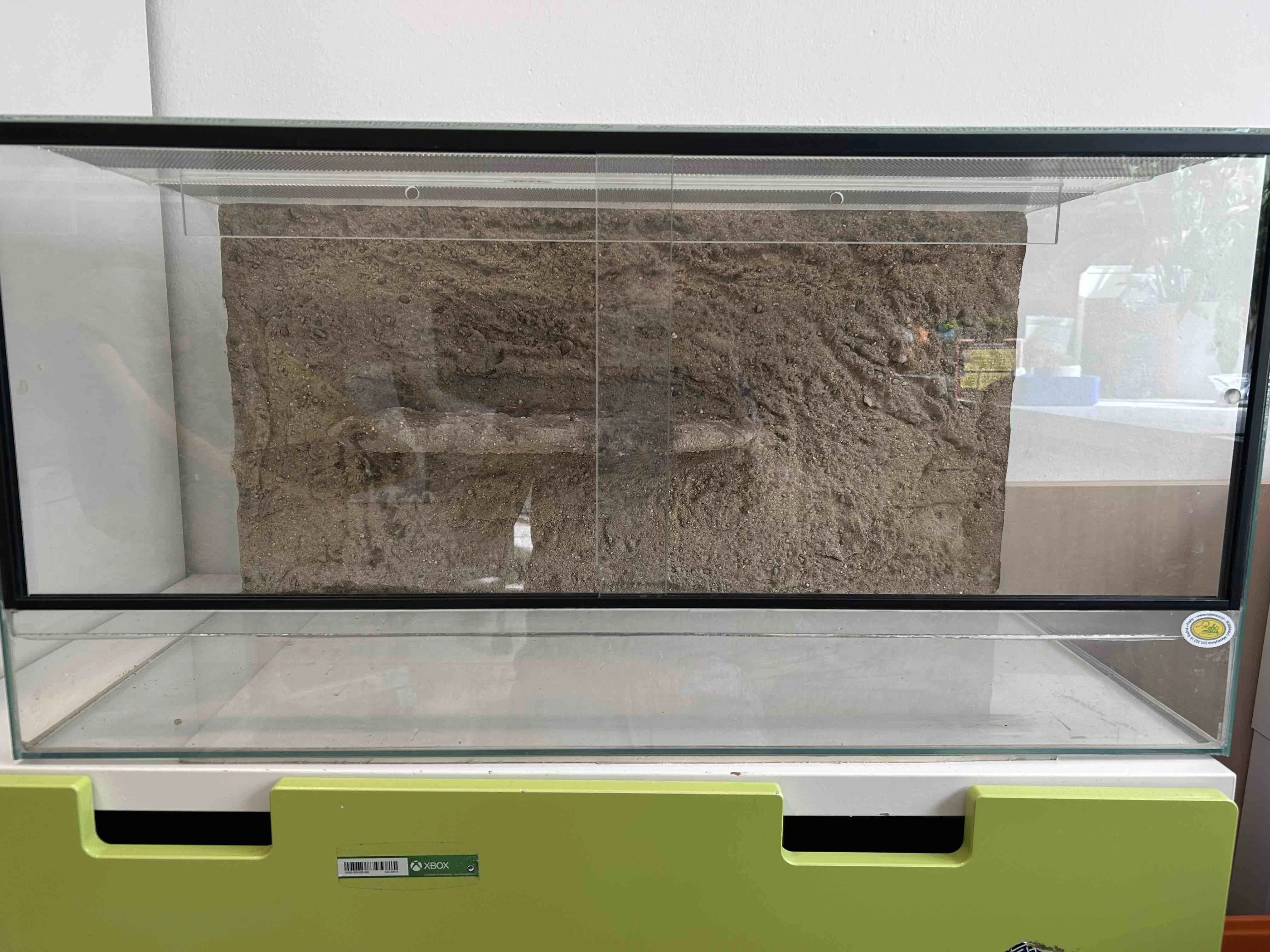 Terarium