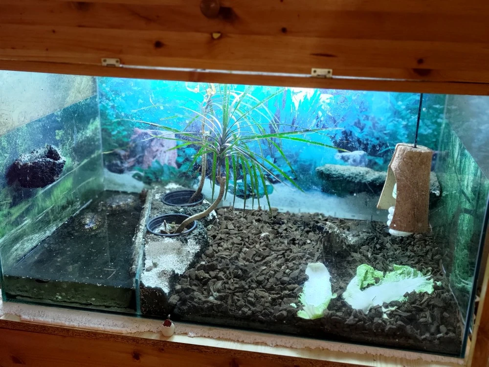 Želvárium včetně vybavení