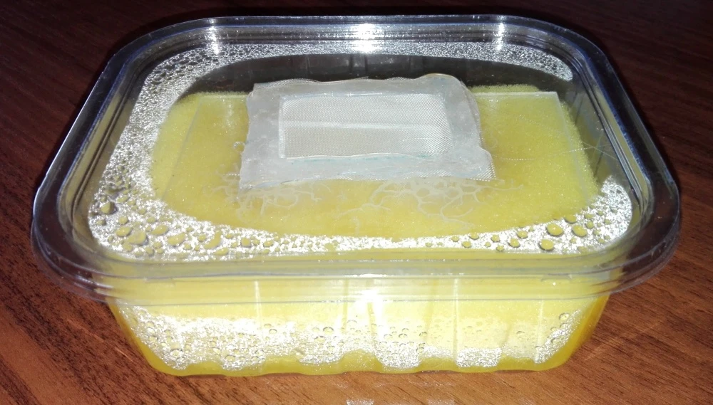 Grindal červi živé krmení