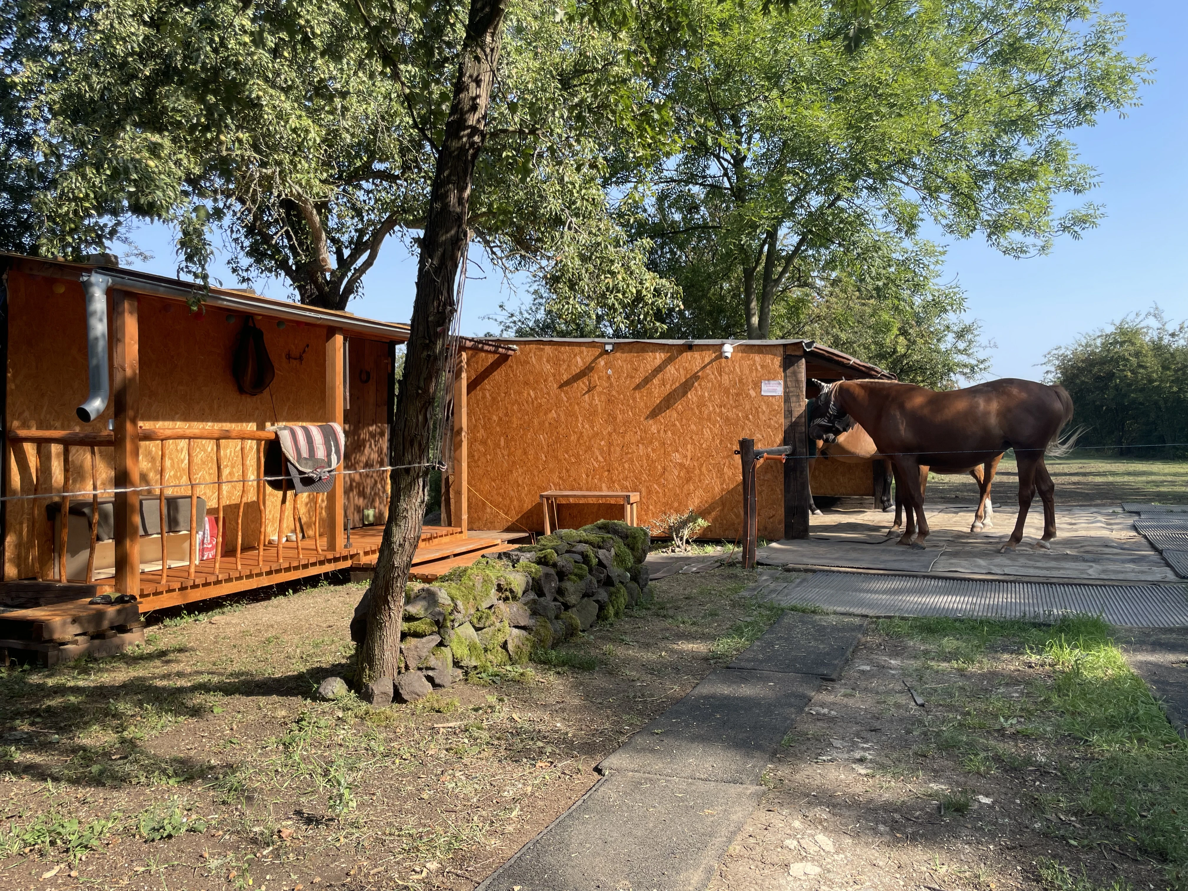 Pastevní ustájení