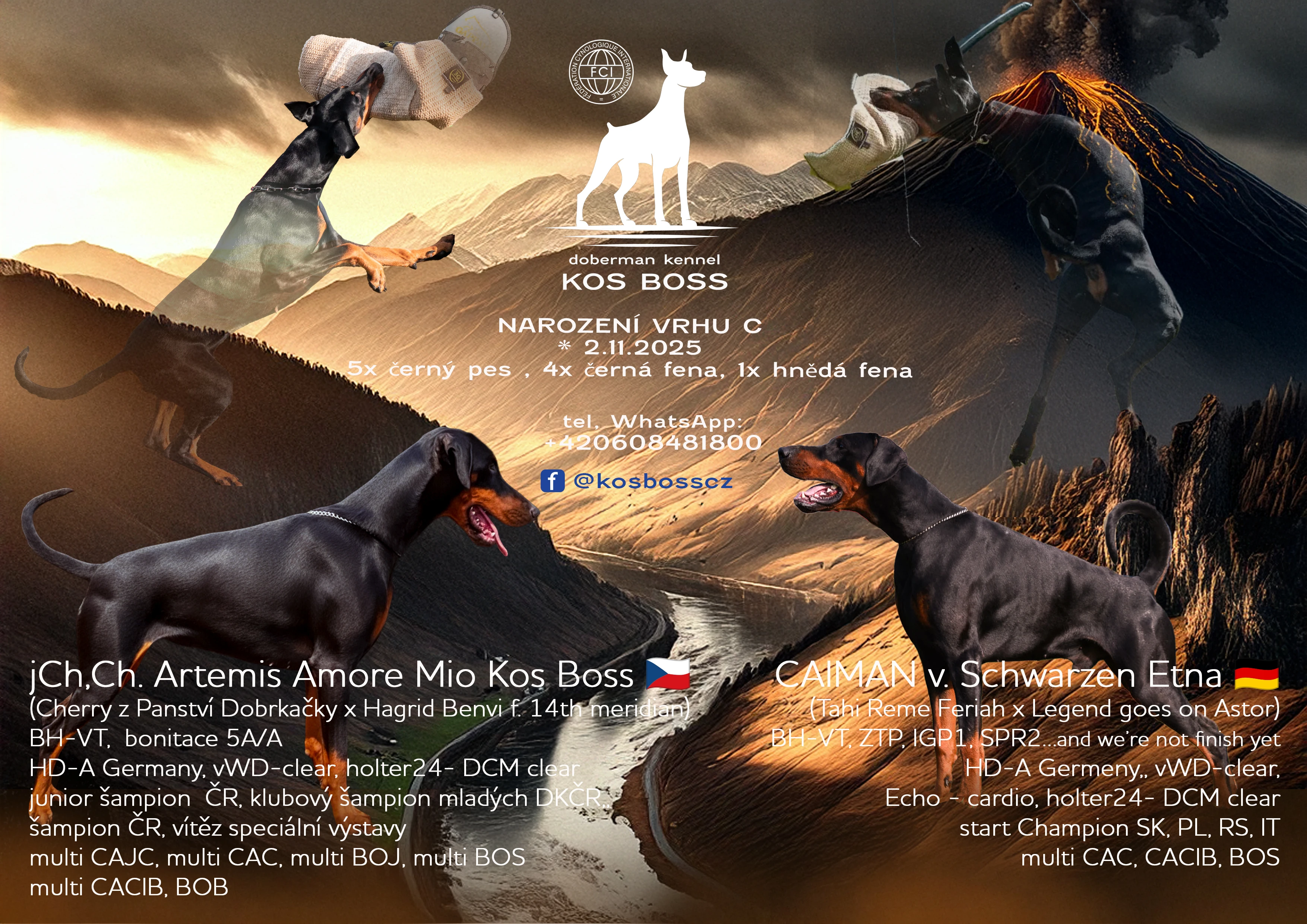 Dobrman s PP FCI