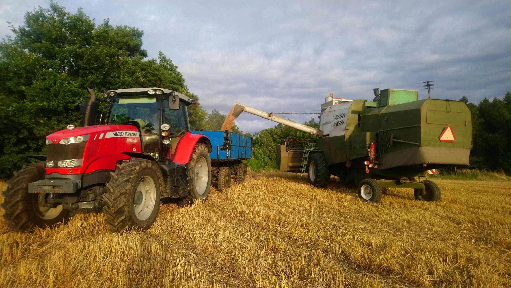 Nabízím oves nahý