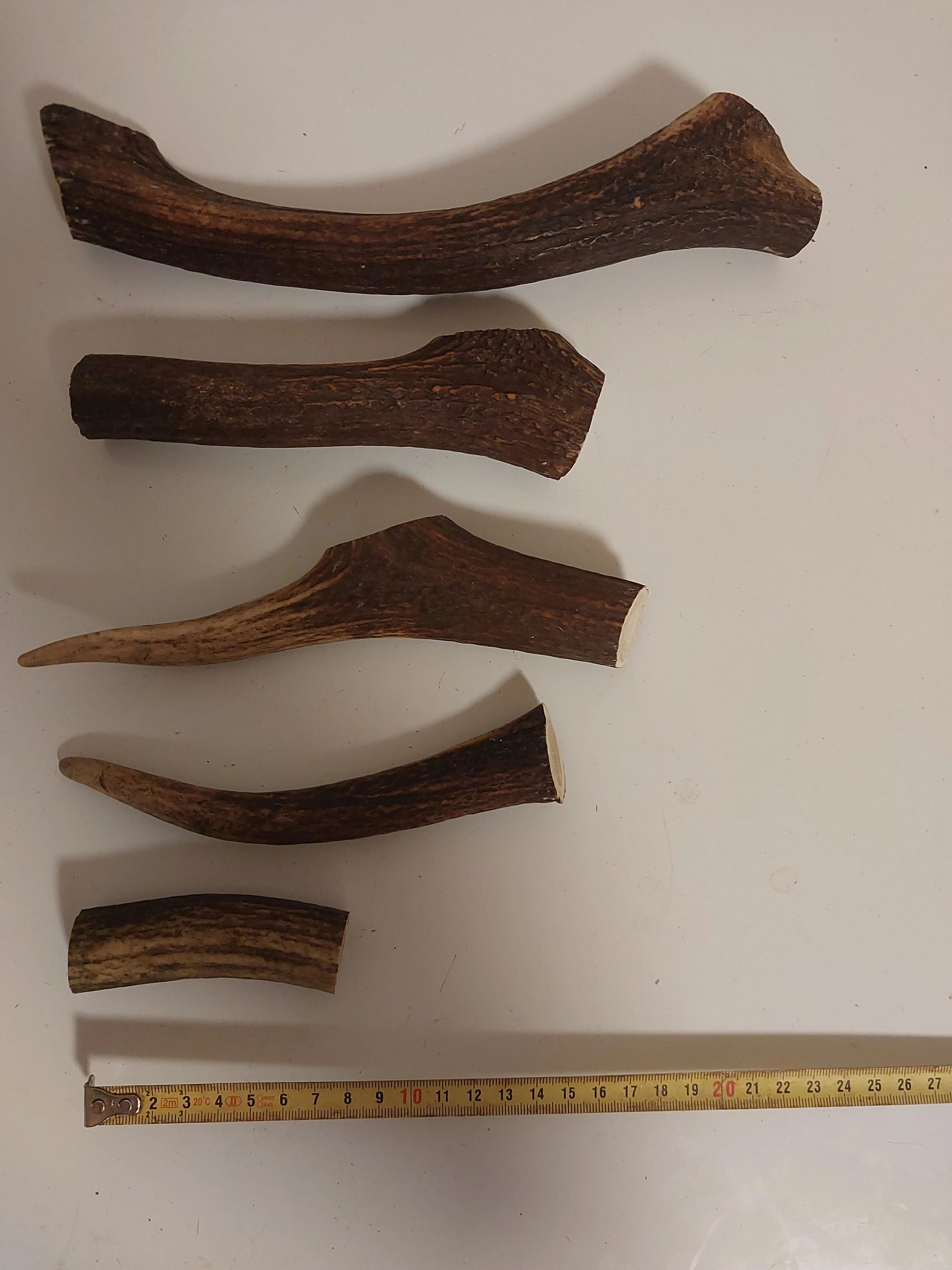 Pamlsky - Paroh pro psy