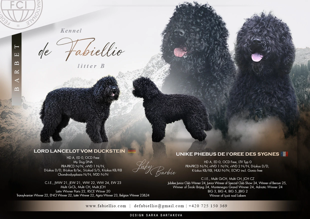 Barbet - Francouzský vodní pes s PP