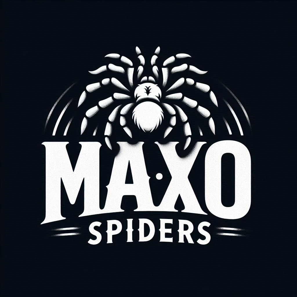 P. sp. green, B. boehmei, G. pulchripes, P. rufilata ...