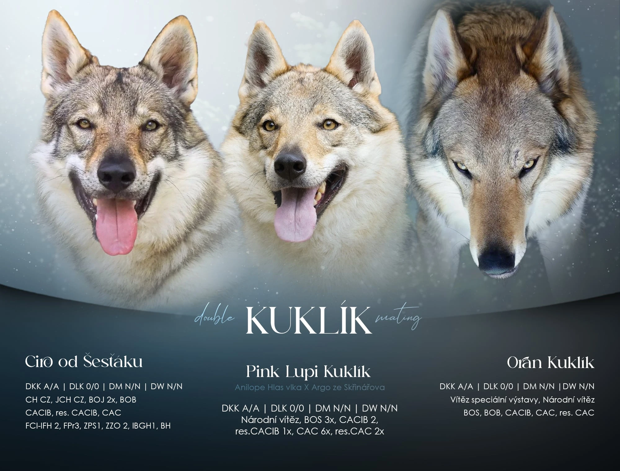 Tatanka a Trinity Kuklík